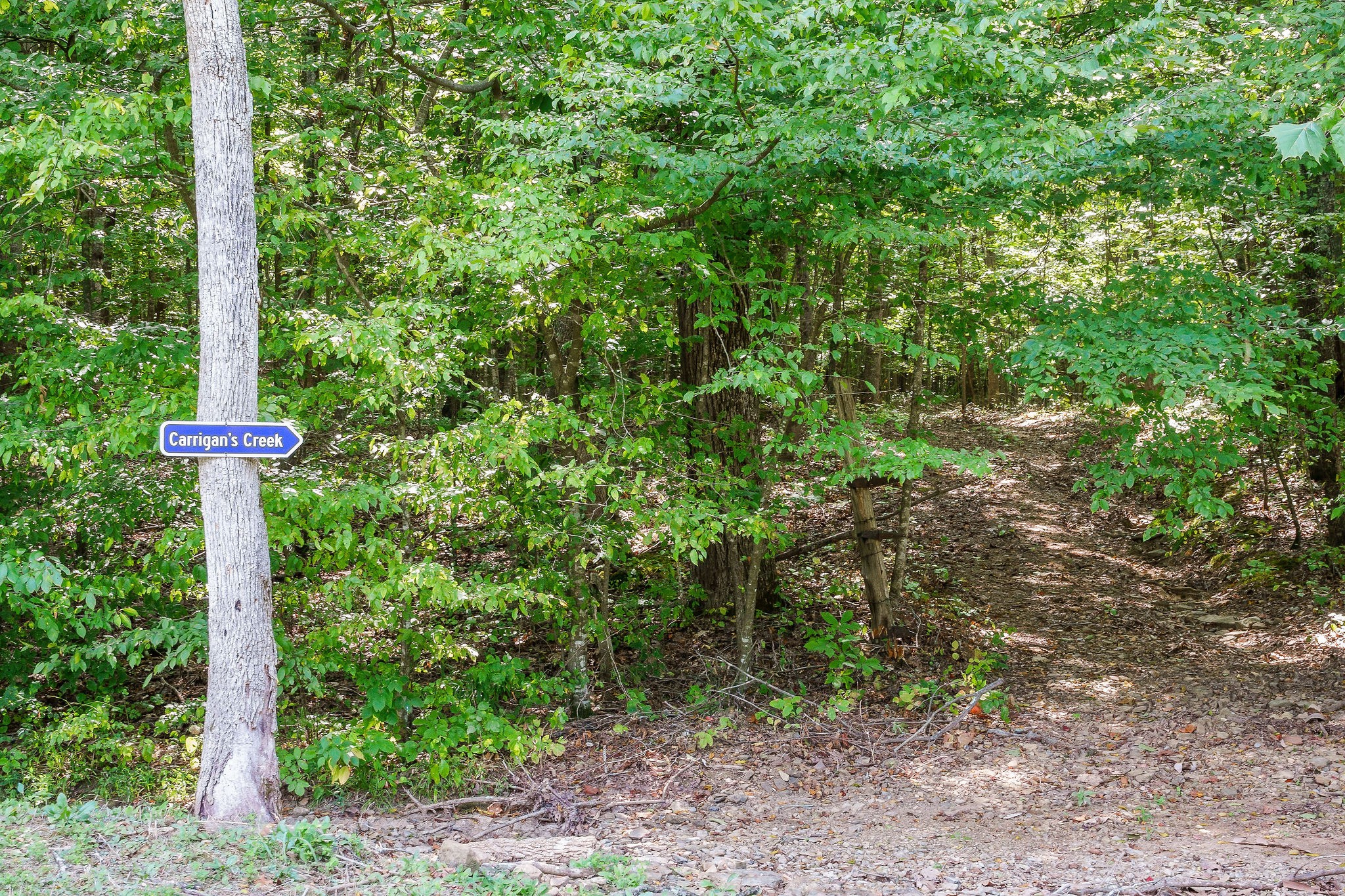 2641 Stamps Shady Grove Road Monterey, TN 38574 - Photo 54 of 70