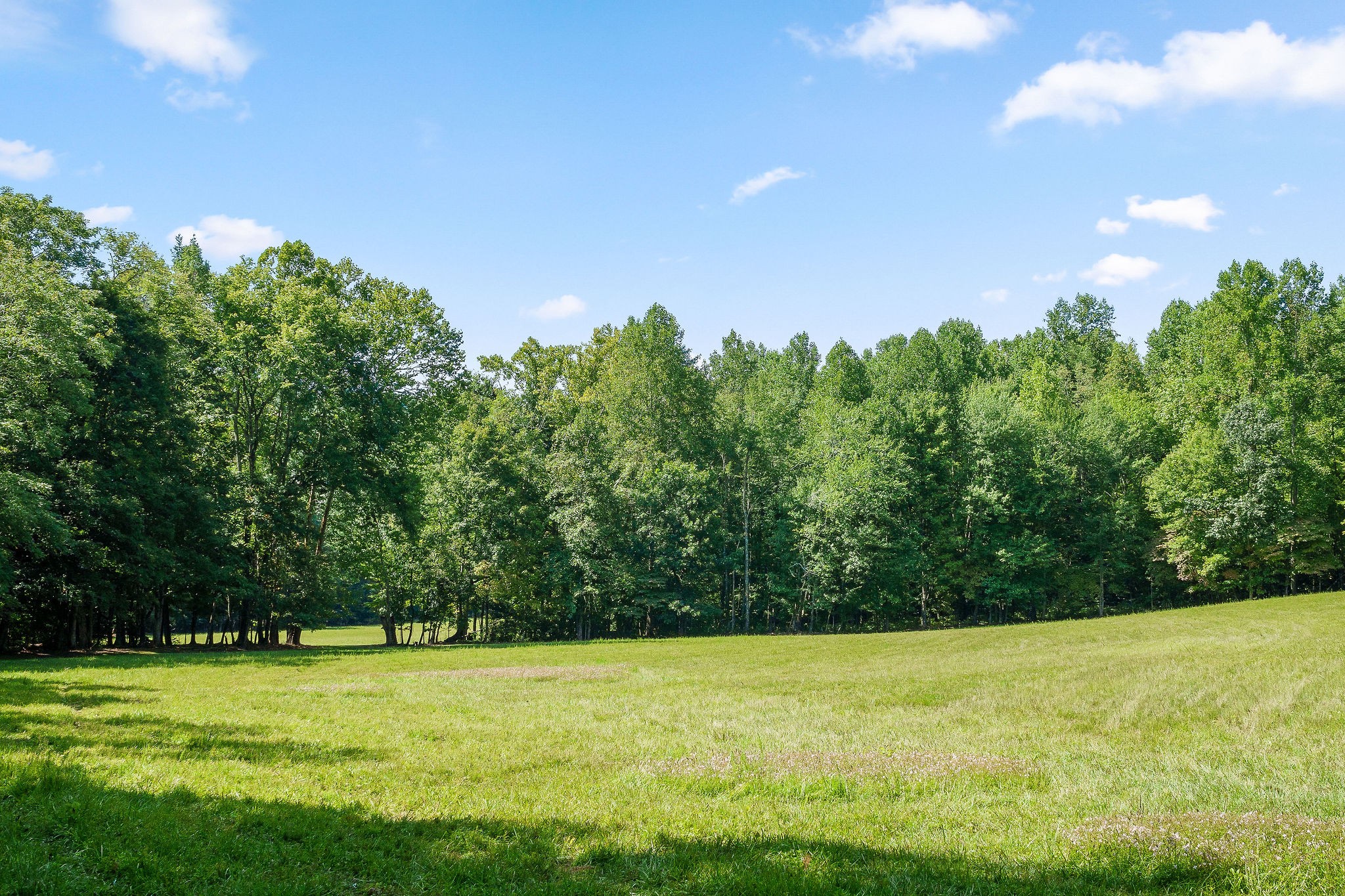 2641 Stamps Shady Grove Road Monterey, TN 38574 - Photo 55 of 70