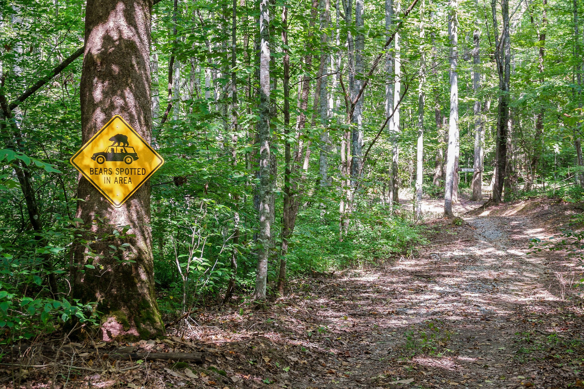 2641 Stamps Shady Grove Road Monterey, TN 38574 - Photo 60 of 70