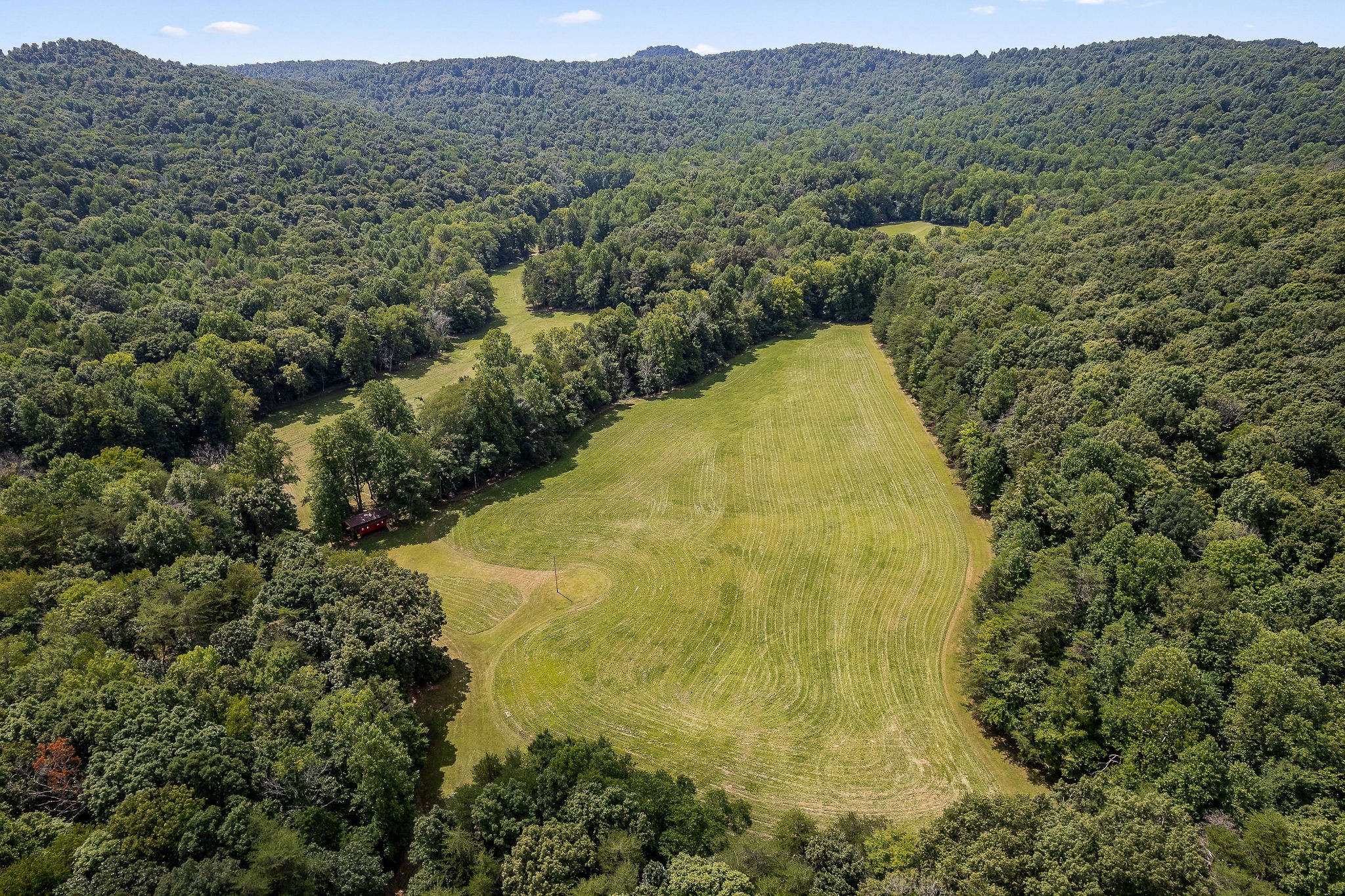 2641 Stamps Shady Grove Road Monterey, TN 38574 - Photo 6 of 70 a aerial view of residential houses with outdoor space and trees