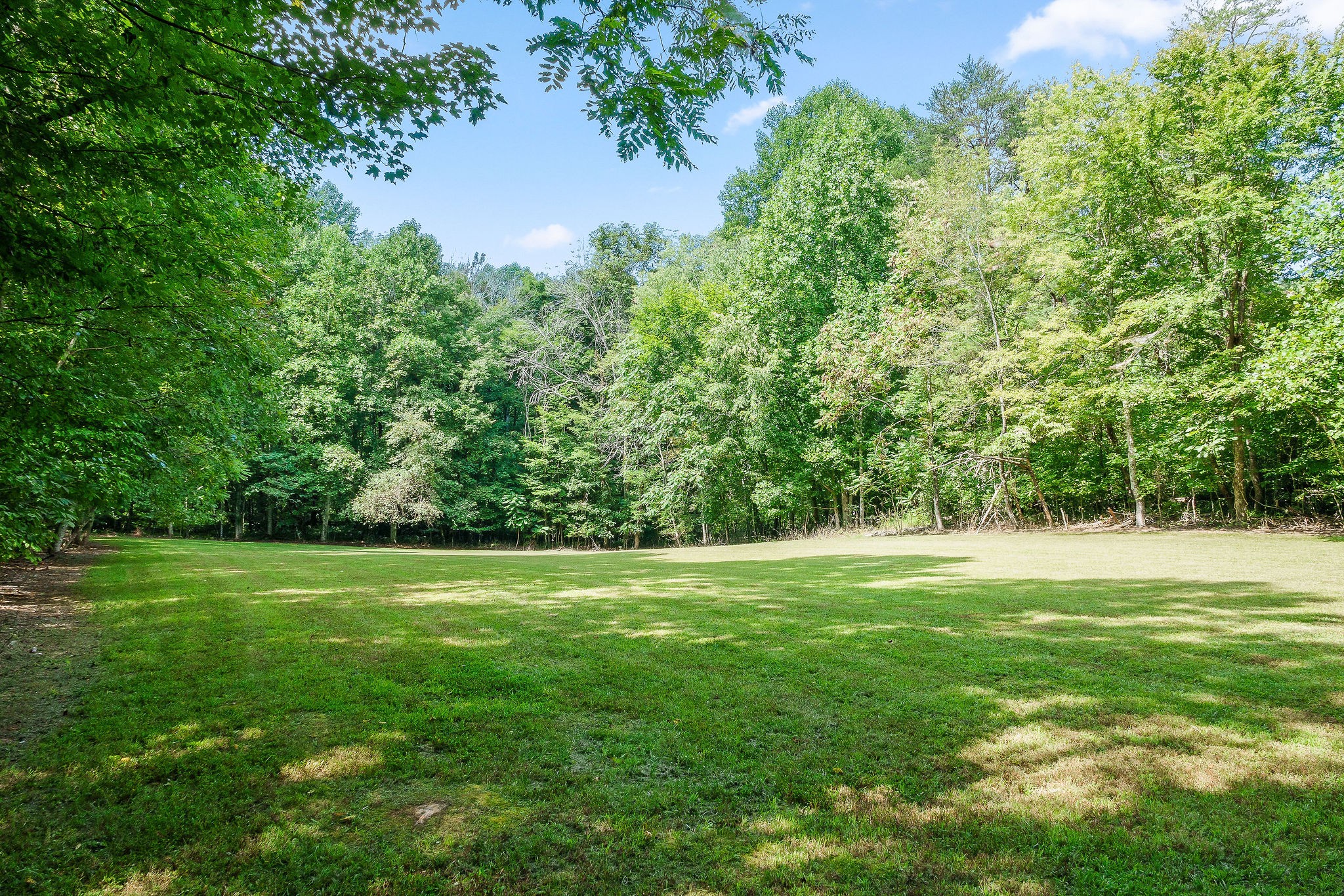 2641 Stamps Shady Grove Road Monterey, TN 38574 - Photo 62 of 70 a view of a grassy field with trees in the background