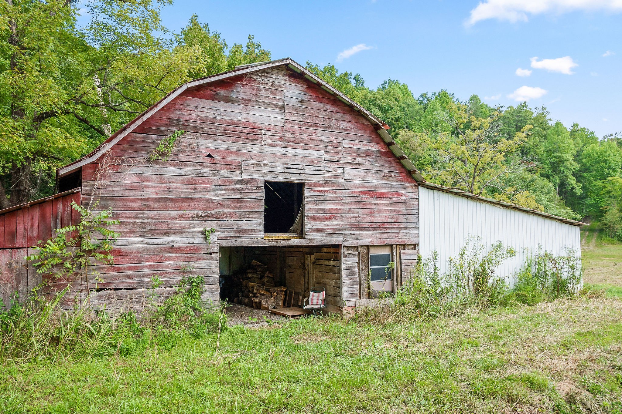 2641 Stamps Shady Grove Road Monterey, TN 38574 - Photo 69 of 70 a view of a house with a small yard plants and large tree