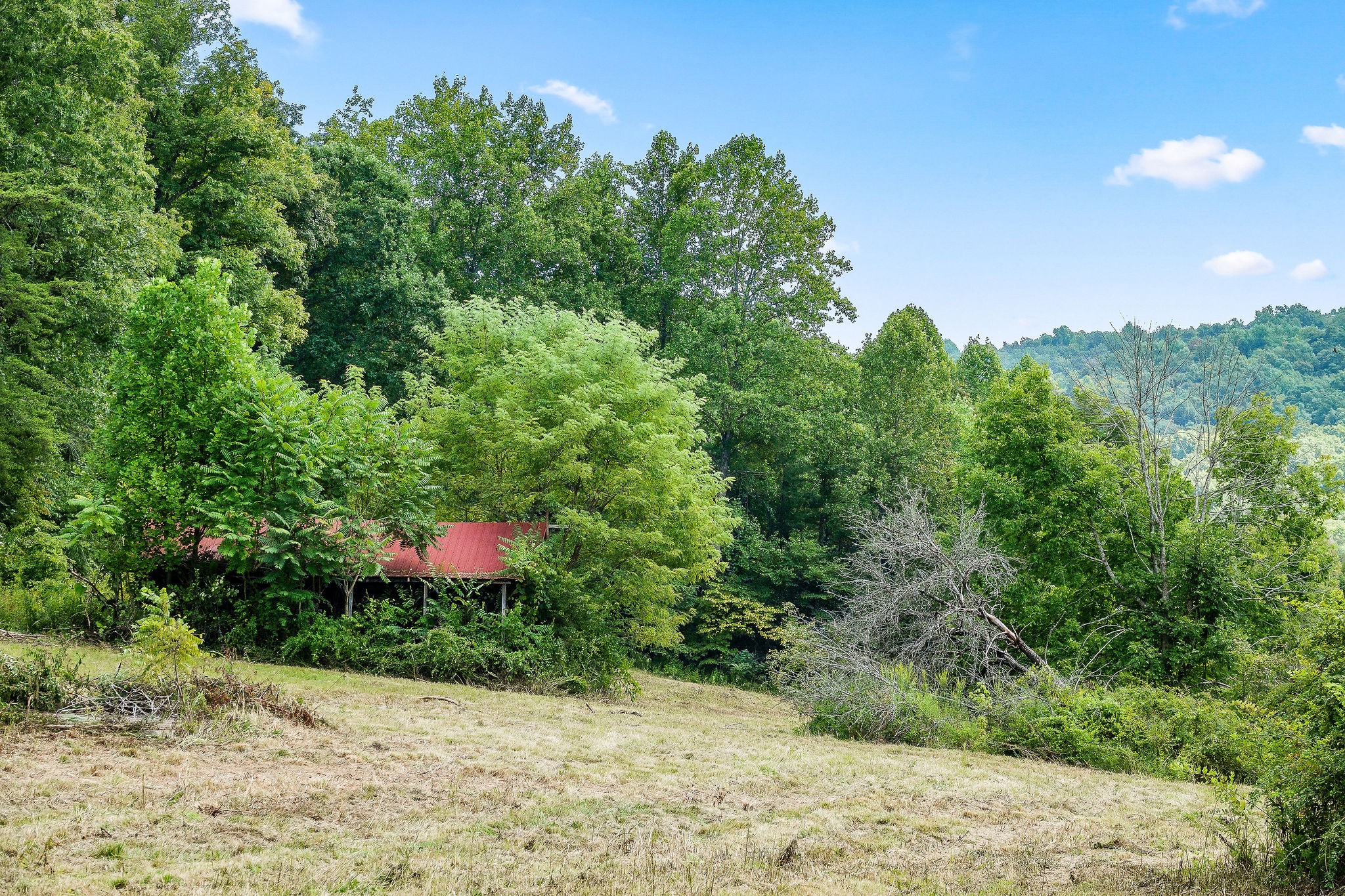 2641 Stamps Shady Grove Road Monterey, TN 38574 - Photo 70 of 70