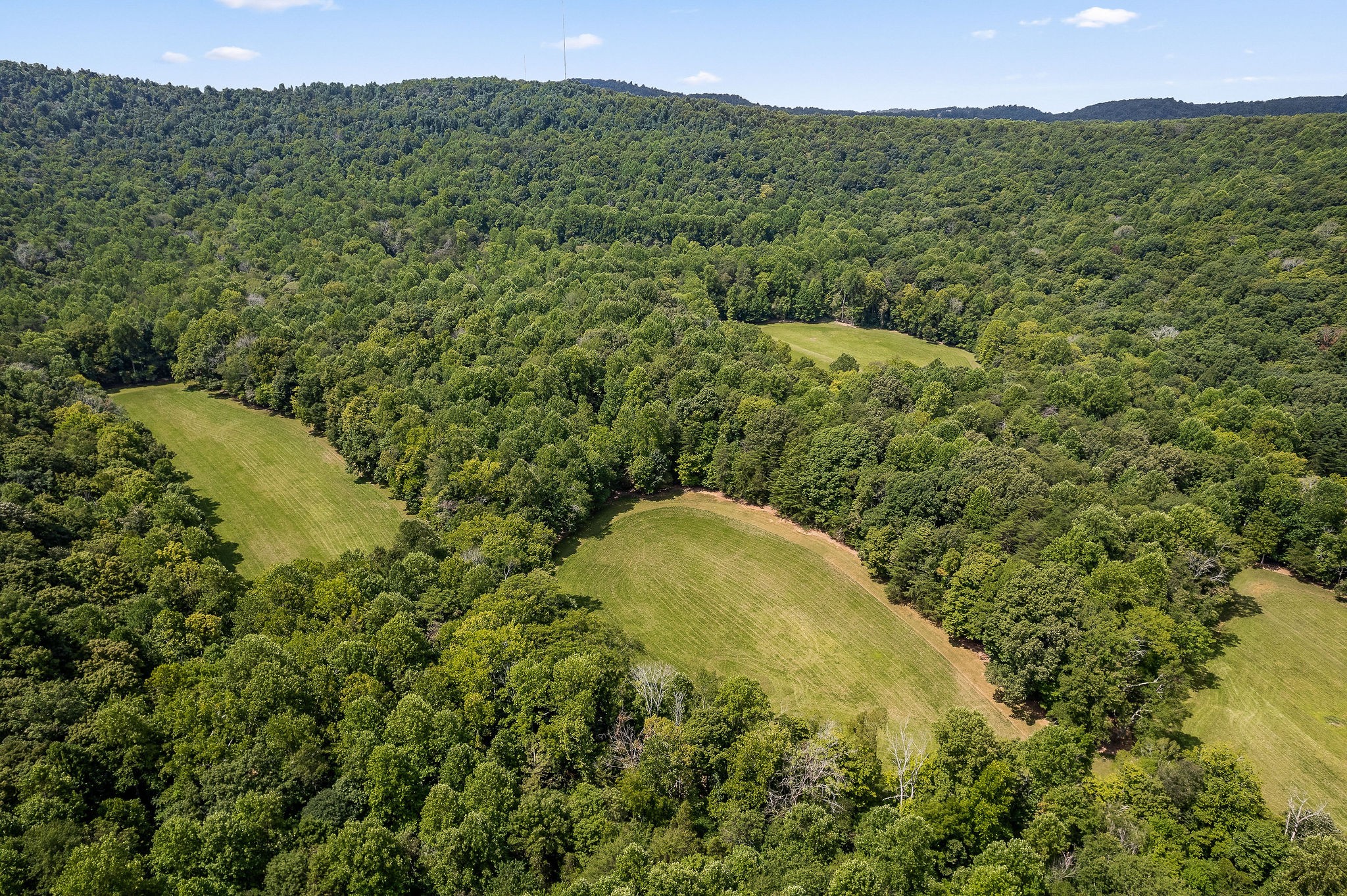 2641 Stamps Shady Grove Road Monterey, TN 38574 - Photo 8 of 70