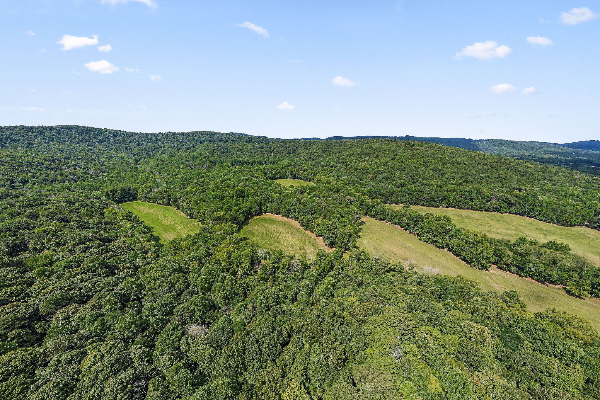 2641 Stamps Shady Grove Road Monterey, TN 38574 - Photo 9 of 70 a view of a city with lush green forest
