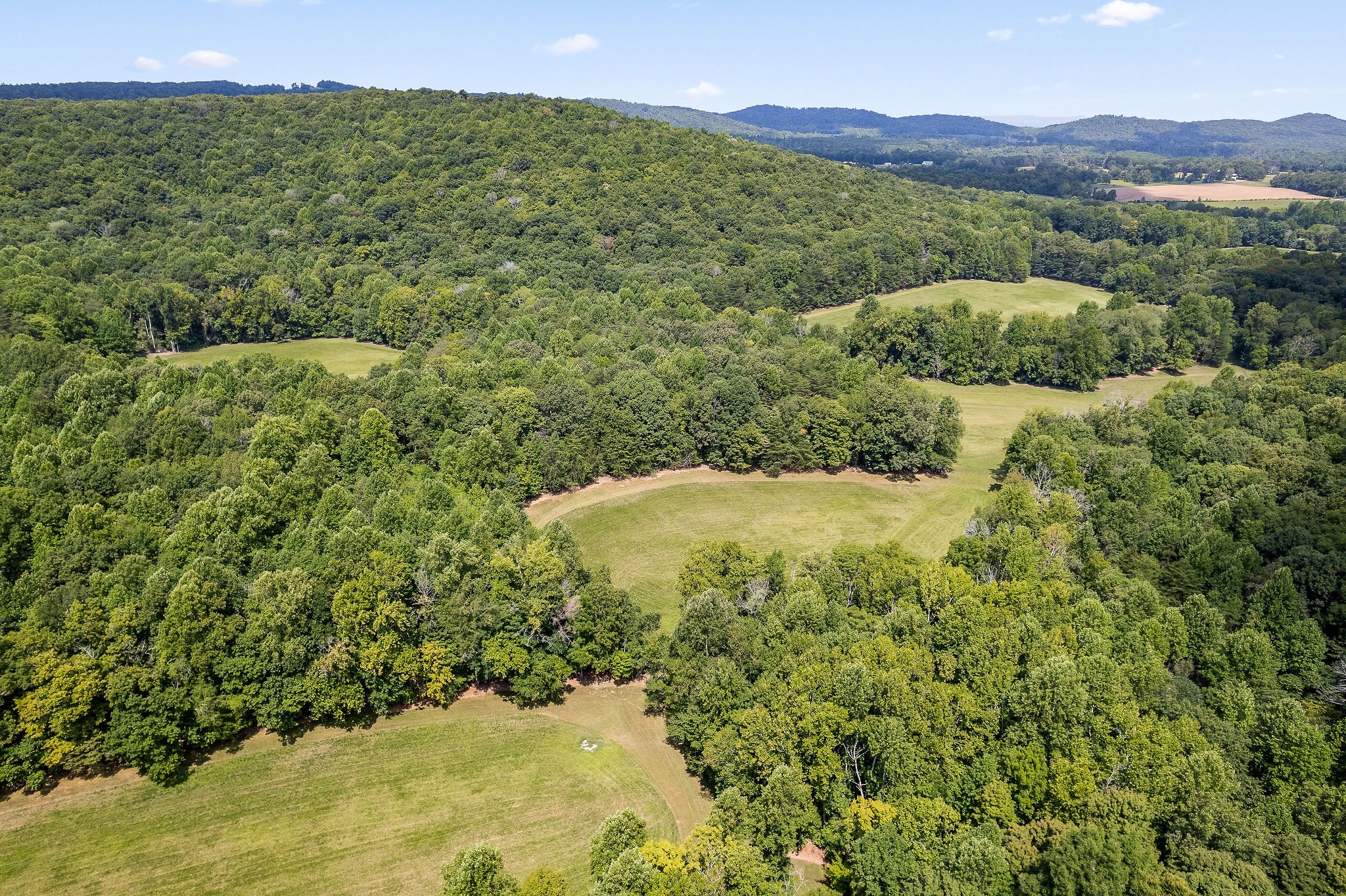 2641 Stamps Shady Grove Road Monterey, TN 38574 - Photo 10 of 70 a view of a lush green hillside and a houses