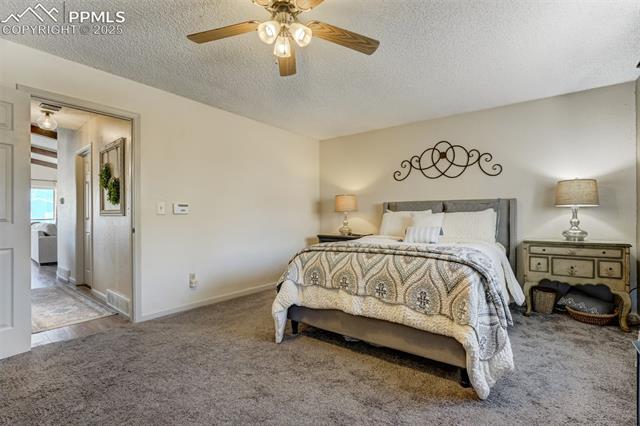 5170 Pinon Valley Road Colorado Springs, CO 80919 - Photo 12 of 32