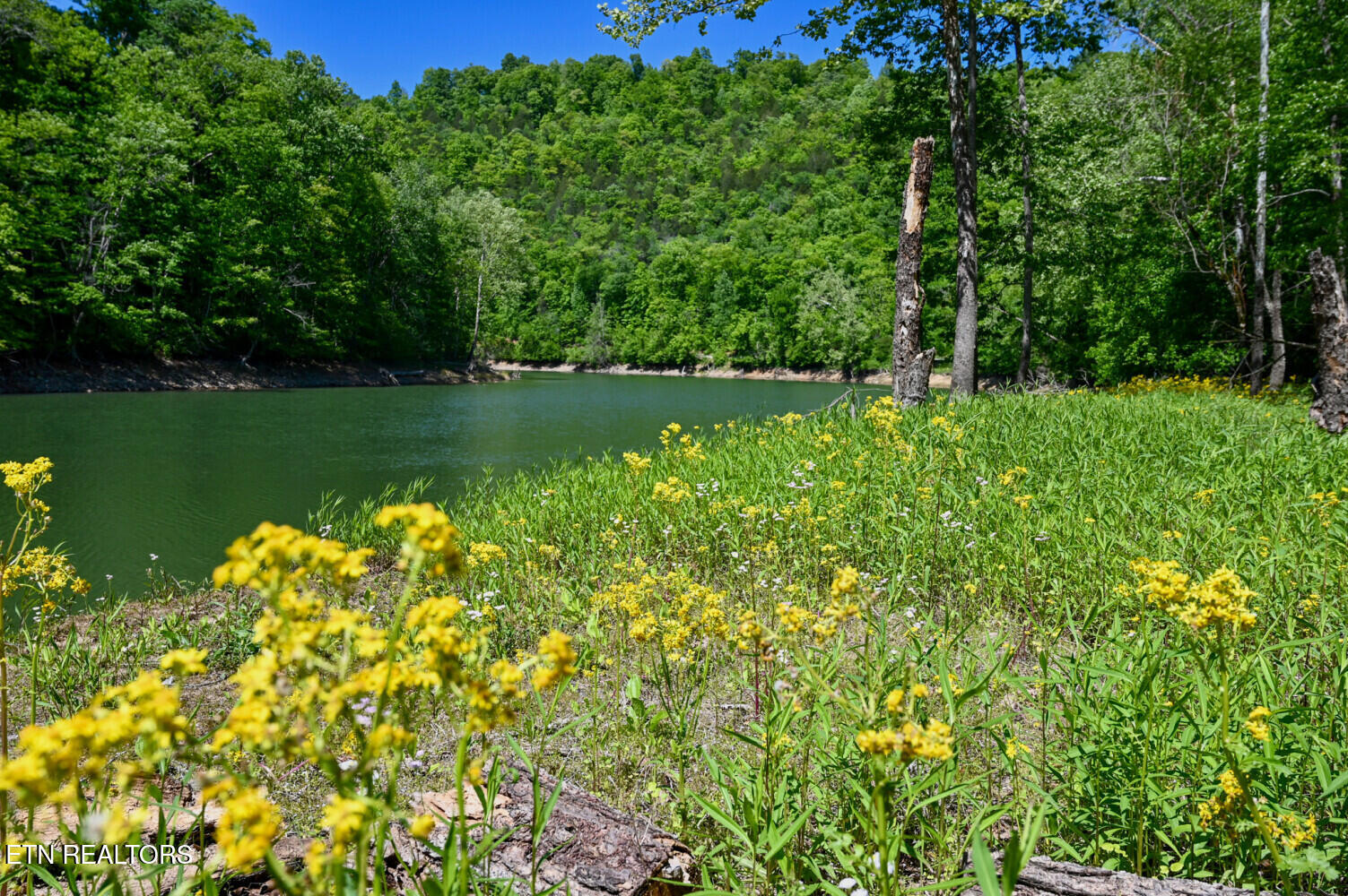 Lot 121 Towncreek Road Speedwell, TN 37870 - Photo 28 of 32 6a2dd1ab335c5