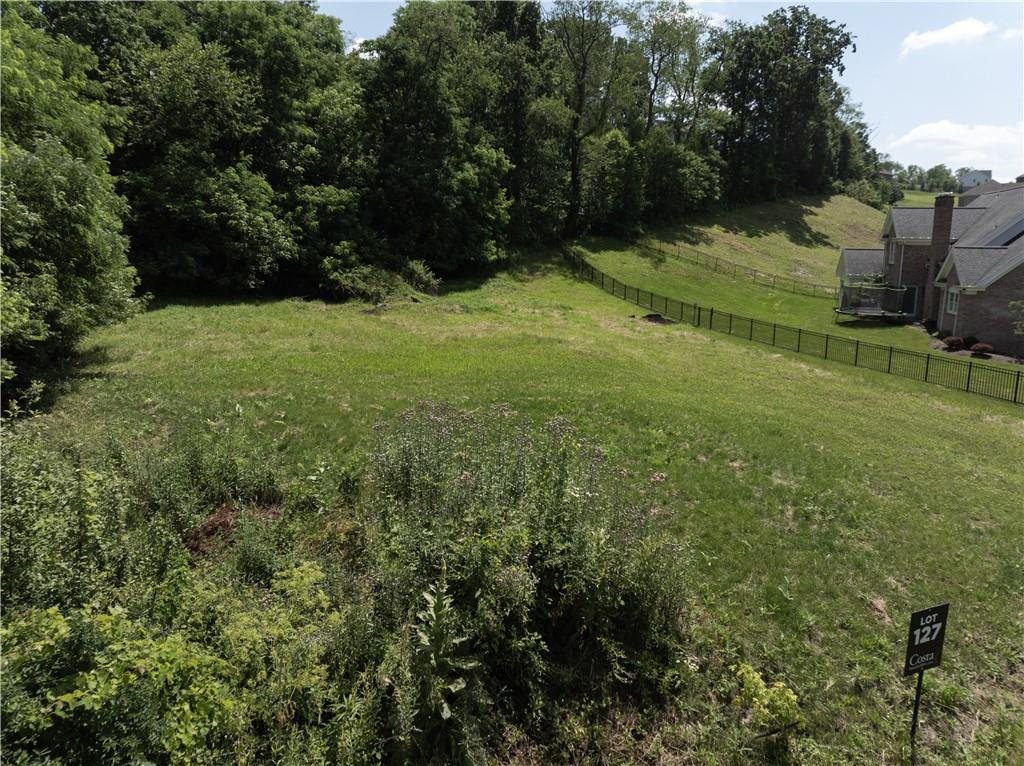 a view of outdoor space and yard