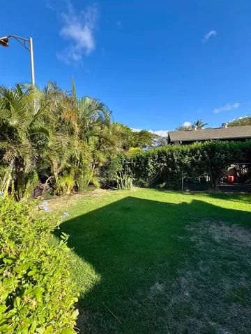 a view of a big yard with potted plants and large trees