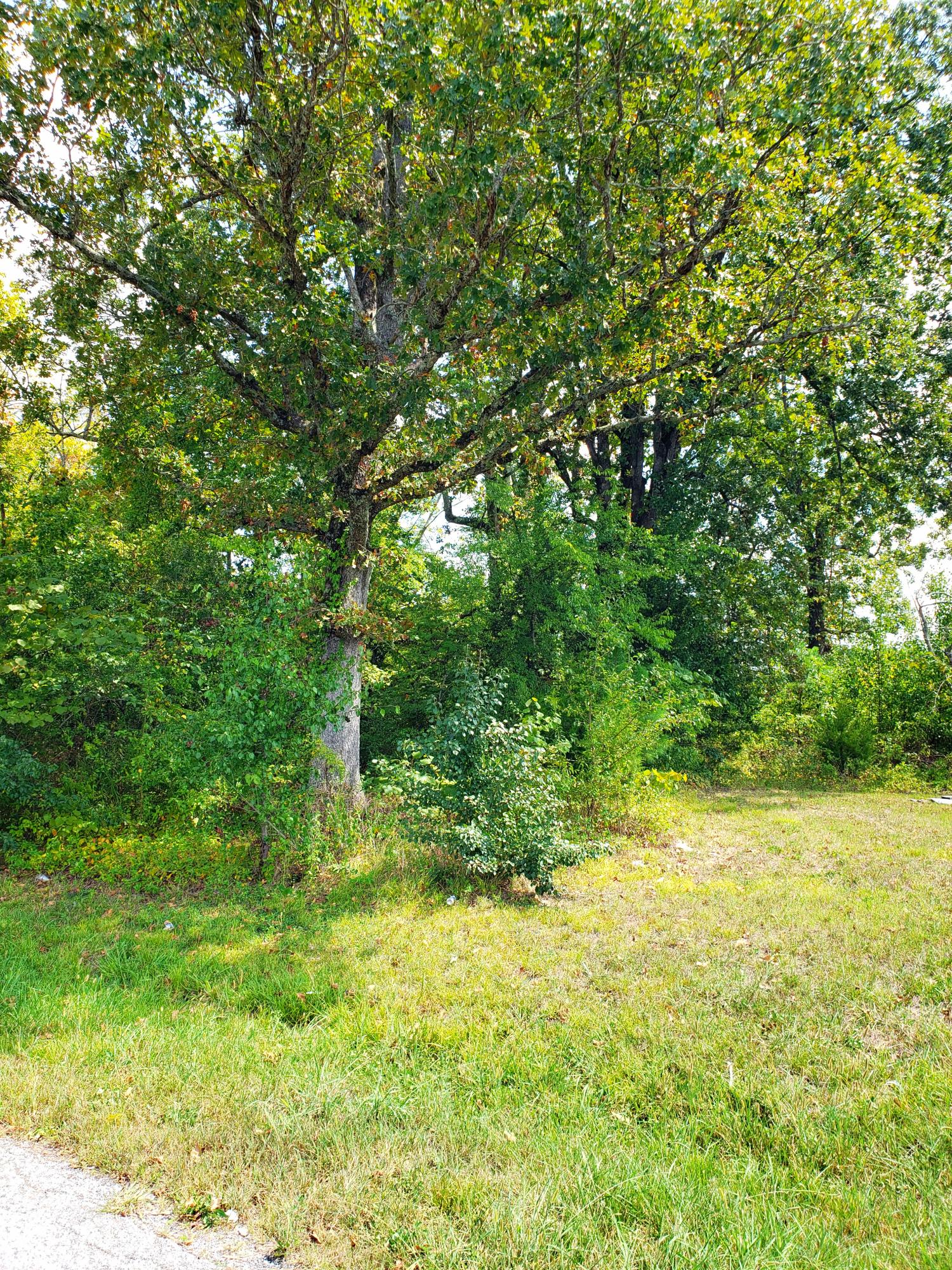 8187 East Brainerd Road, Unit 9 10 Chattanooga, TN 37421 - Photo 2 of 13 Ready to Develop