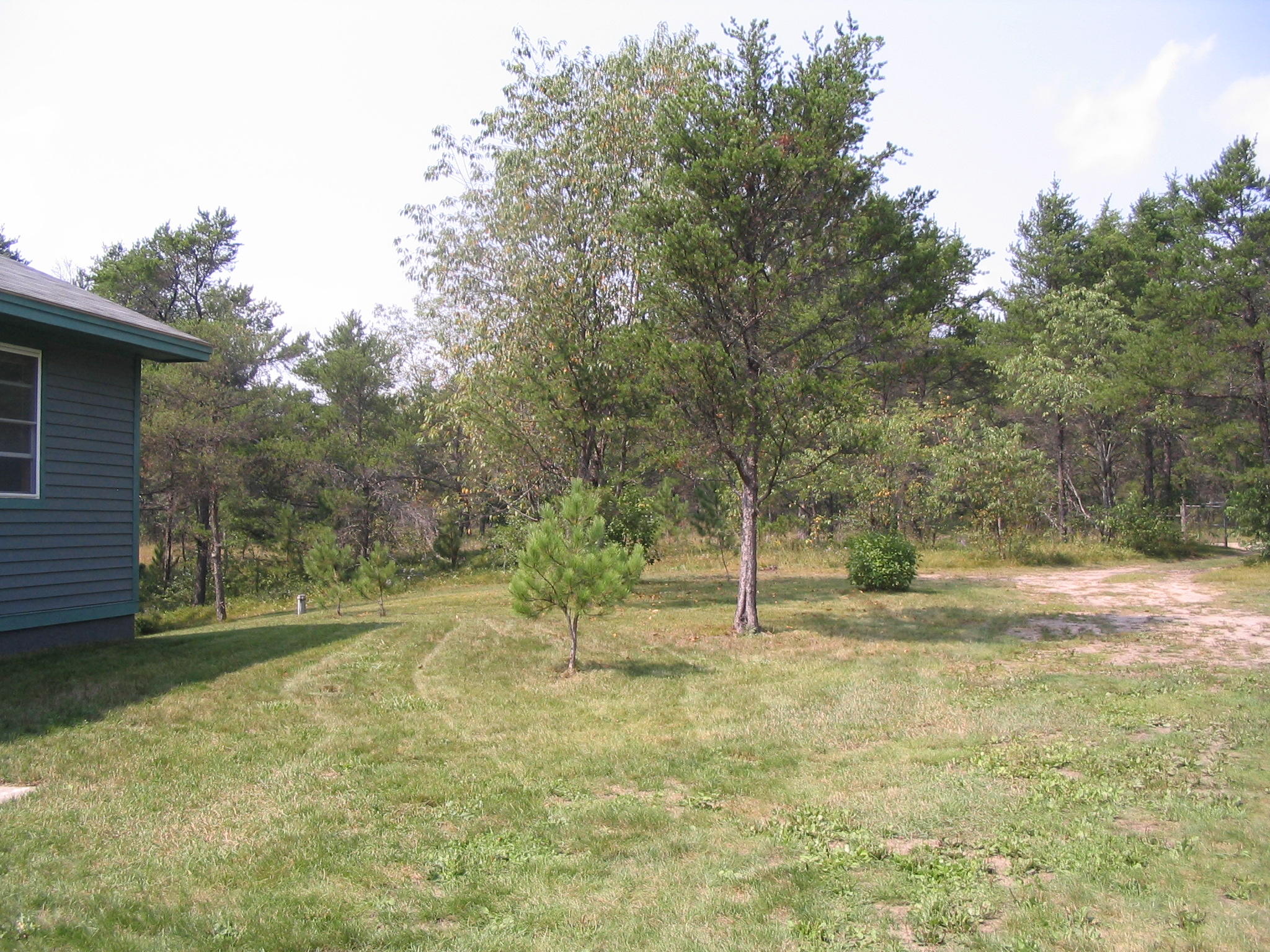 5879 Walsh Road Lewiston, MI 49756 - Photo 11 of 29 Gallery Image 11