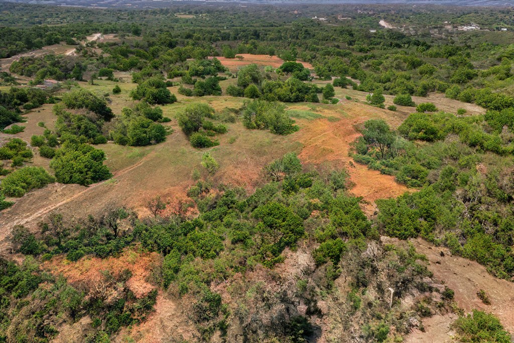 0 Ferguson Road Blanco, TX 78606 - Photo 12 of 19