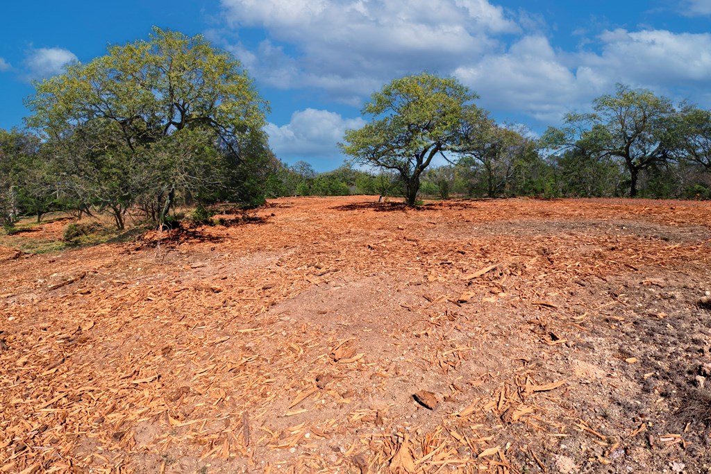 0 Ferguson Road Blanco, TX 78606 - Photo 14 of 19