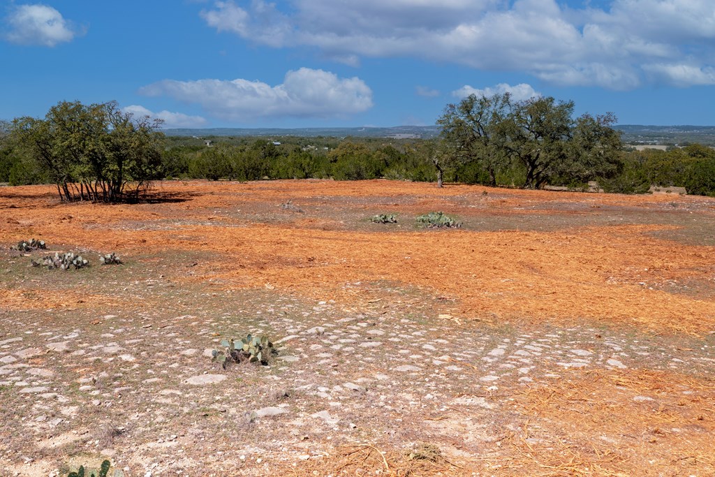 0 Ferguson Road Blanco, TX 78606 - Photo 16 of 19