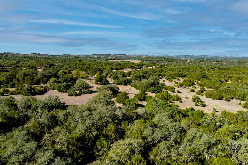 0 Ferguson Road Blanco, TX 78606 - Photo 17 of 19
