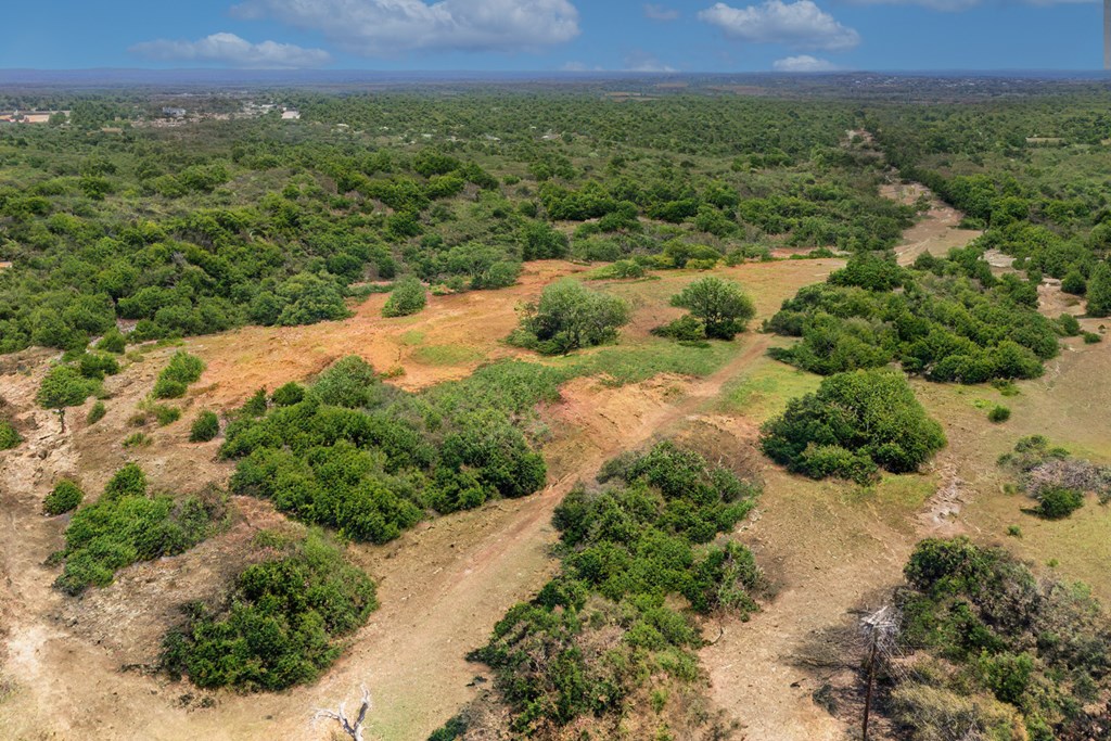 0 Ferguson Road Blanco, TX 78606 - Photo 2 of 19