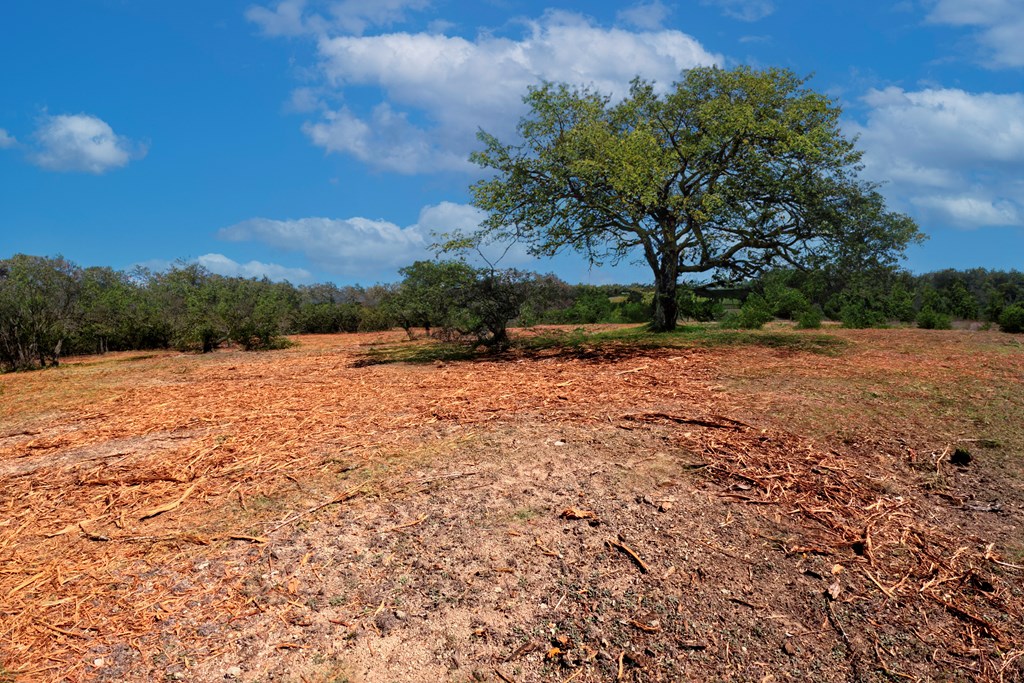 0 Ferguson Road Blanco, TX 78606 - Photo 4 of 19