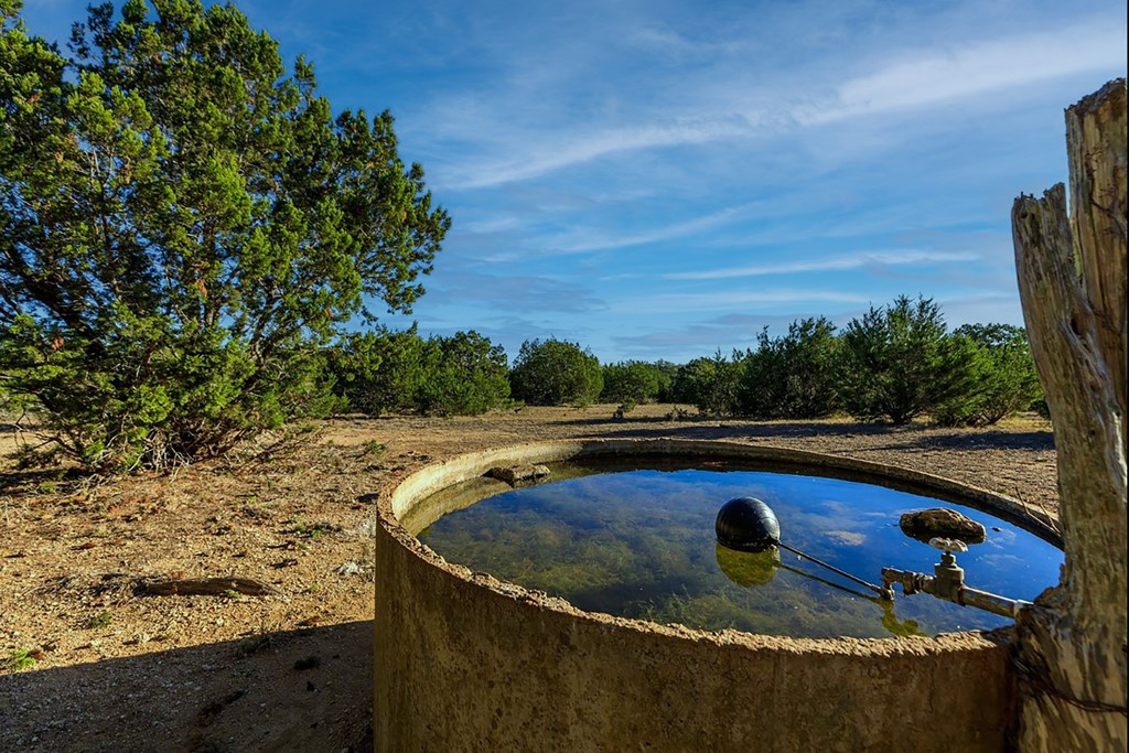 0 Ferguson Road Blanco, TX 78606 - Photo 6 of 19