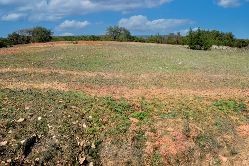 0 Ferguson Road Blanco, TX 78606 - Photo 10 of 19