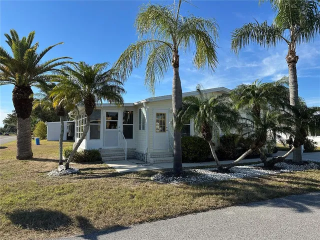 a view of a backyard with palm trees
