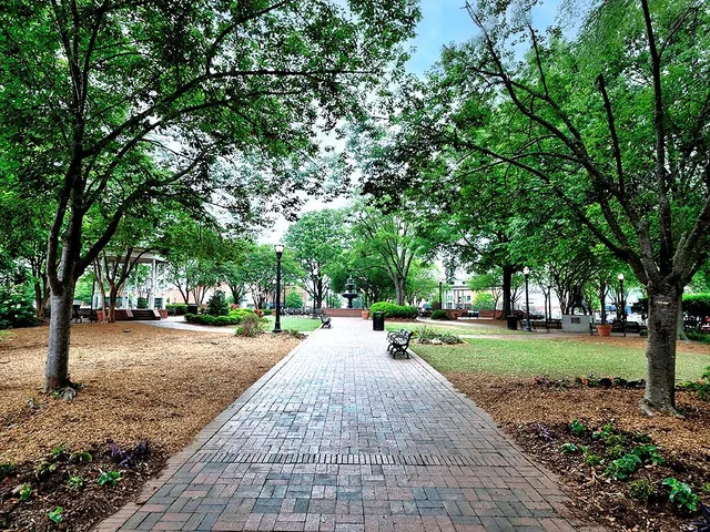 a view of a backyard with large trees