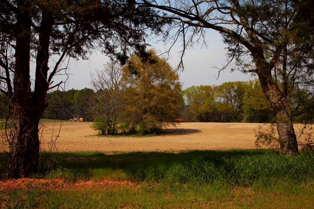 6595 Ridge Road Appling, GA 30802 - Photo 1 of 5 Main View