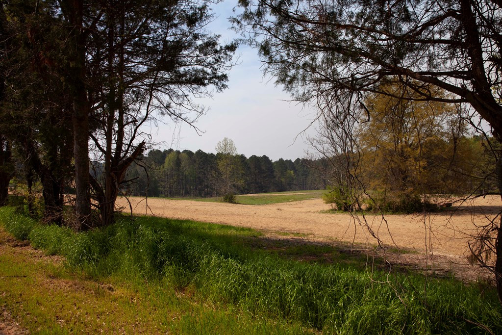 6595 Ridge Road Appling, GA 30802 - Photo 4 of 5
