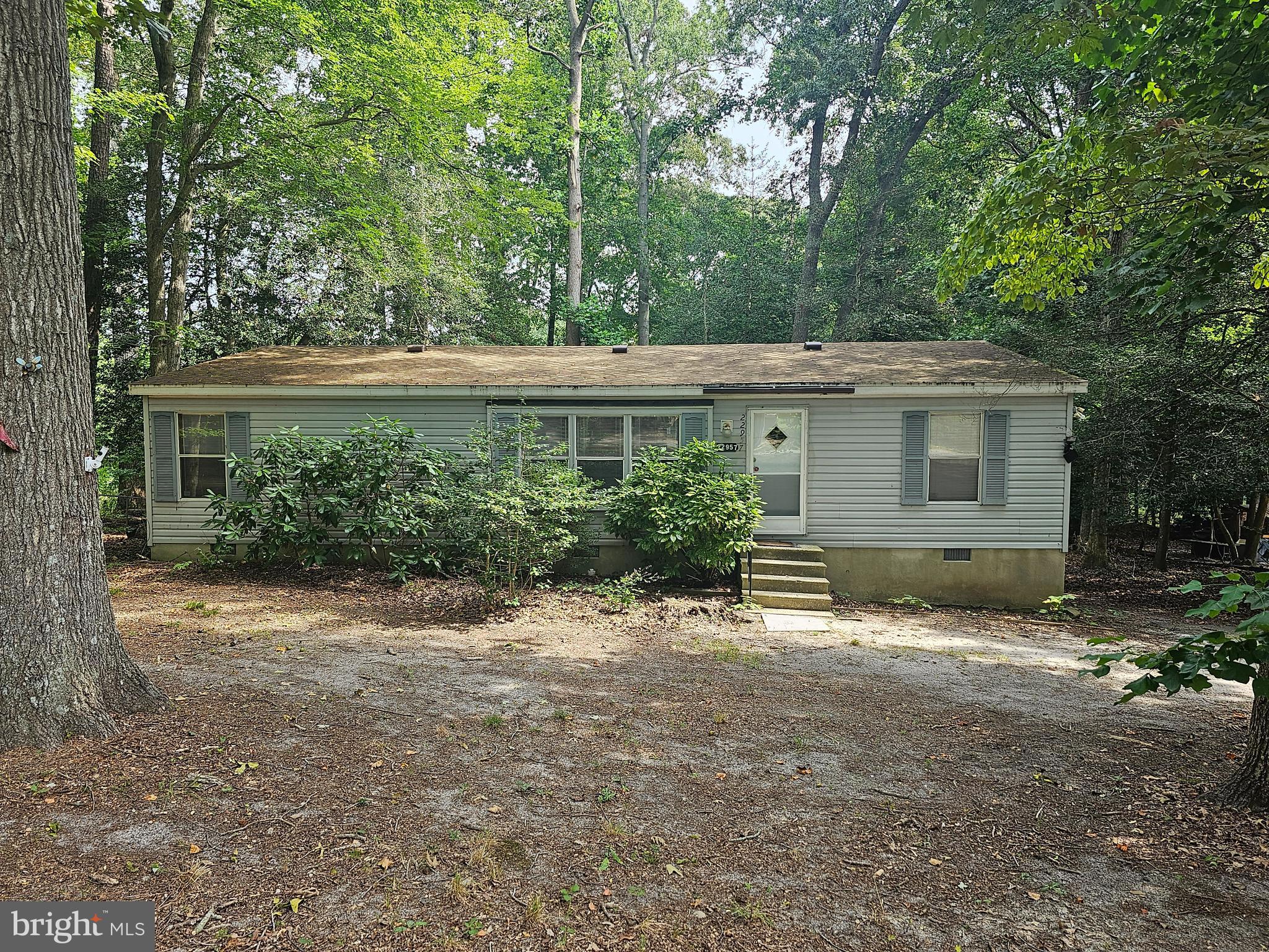 22957 Pine Road Lewes, DE 19958 - Photo 3 of 17 Gallery Image 3