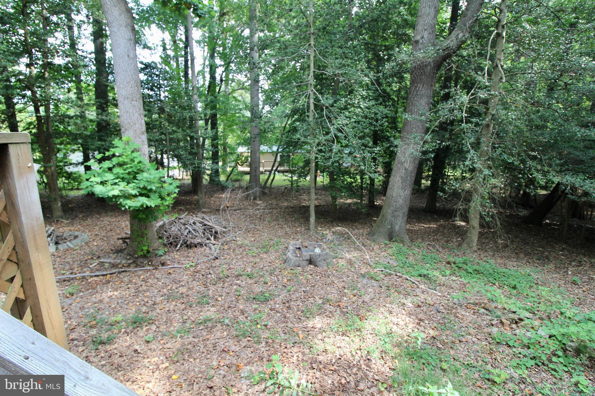22957 Pine Road Lewes, DE 19958 - Photo 5 of 17 Gallery Image 5