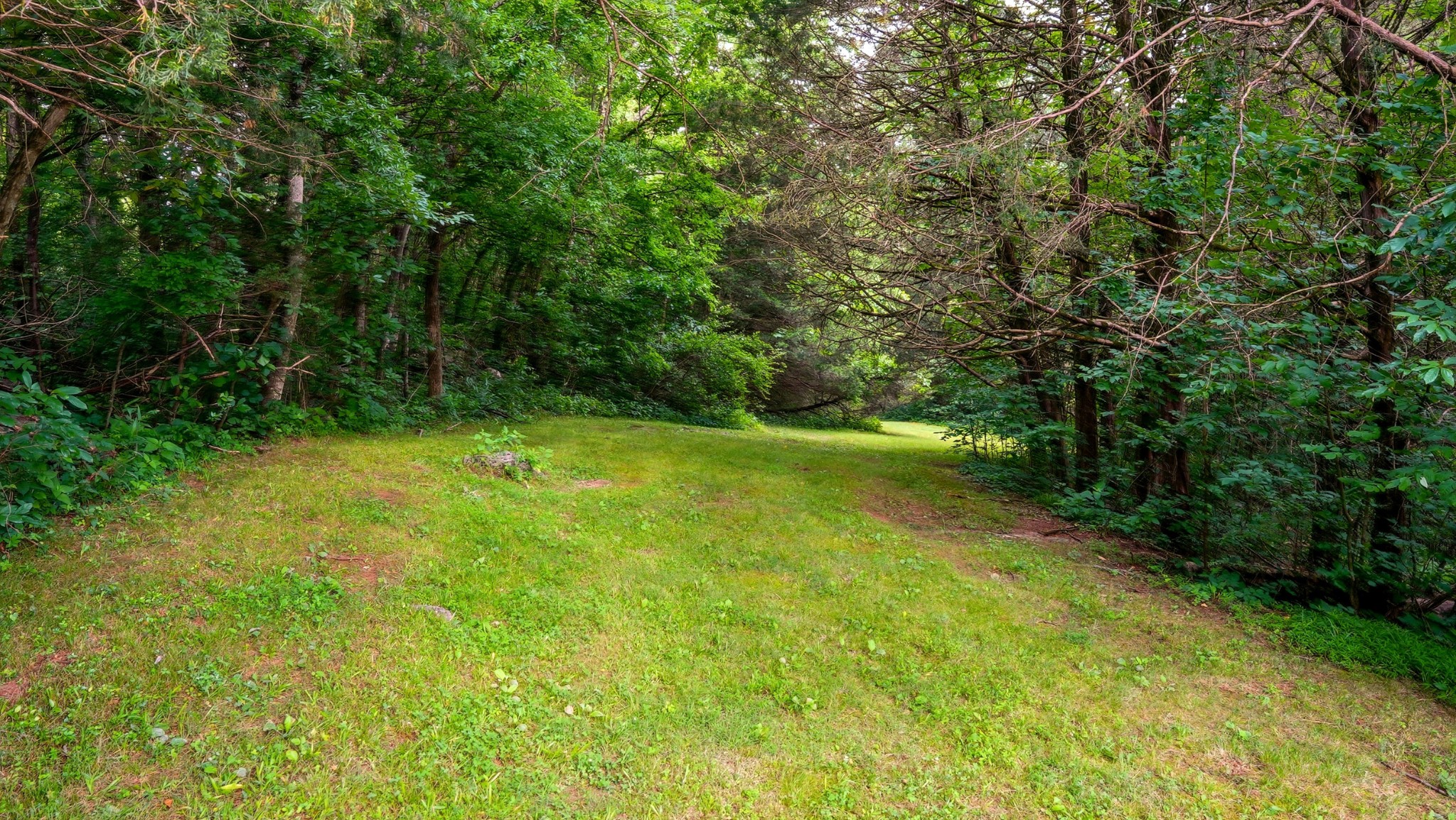 427 Adams Road Watertown, TN 37184 - Photo 33 of 68