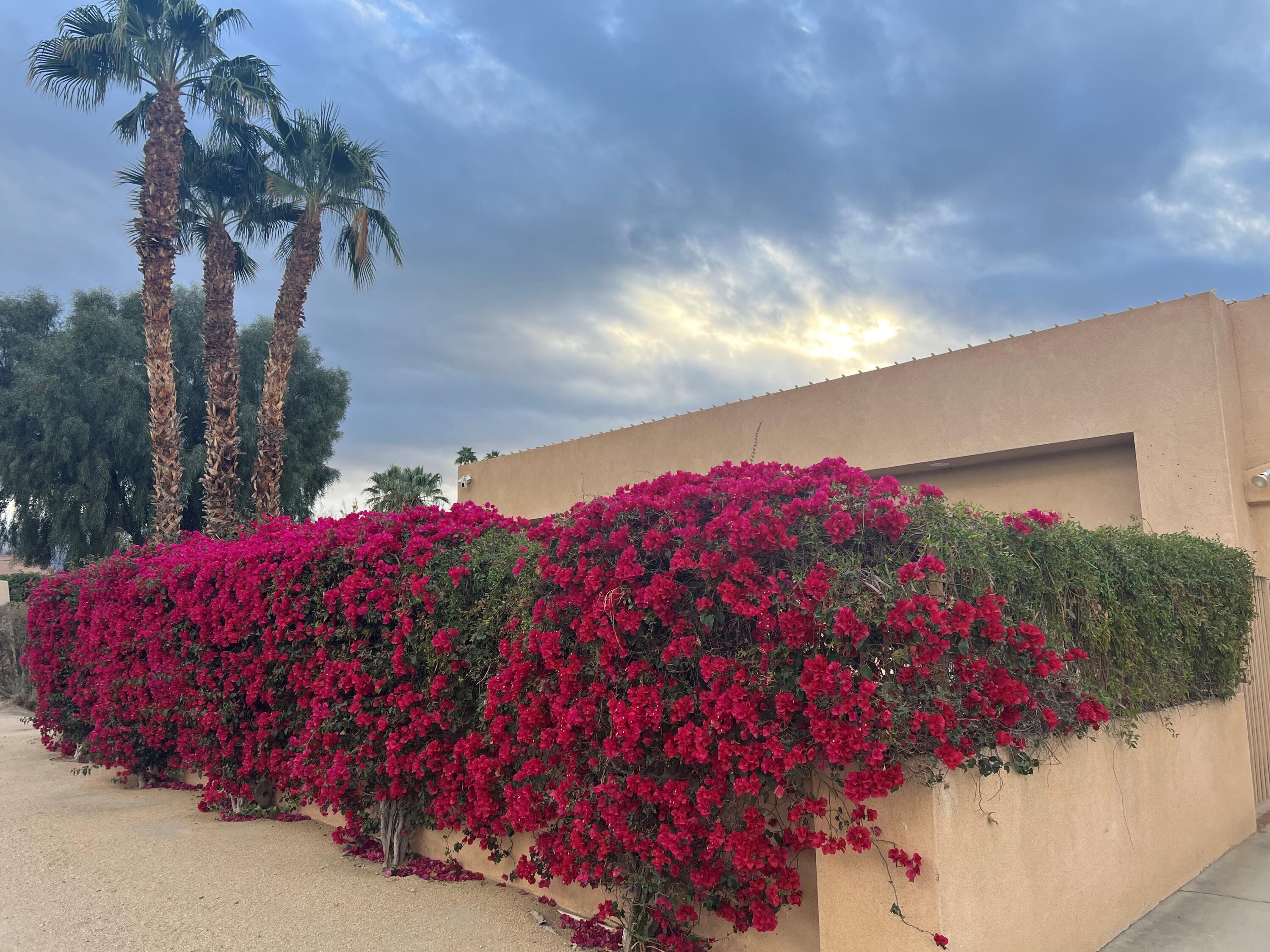 44755 Deep Canyon Road Palm Desert, CA 92260 - Photo 2 of 4 a front view of a house with balcony