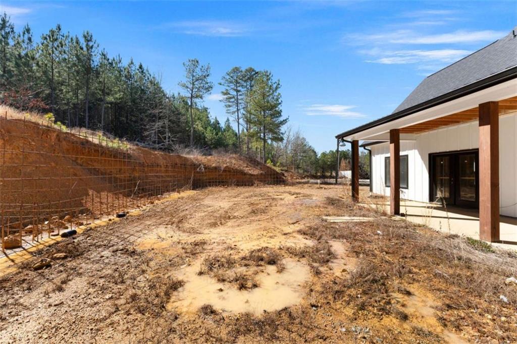 1481 Potash Road Cedartown, GA 30125 - Photo 34 of 44