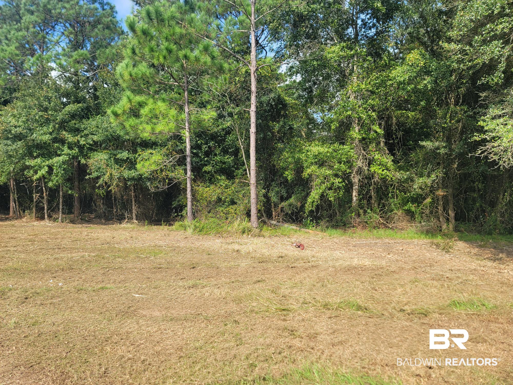 21373 Ima Brill Road Robertsdale, AL 36567 - Photo 12 of 25 Gallery Image 12