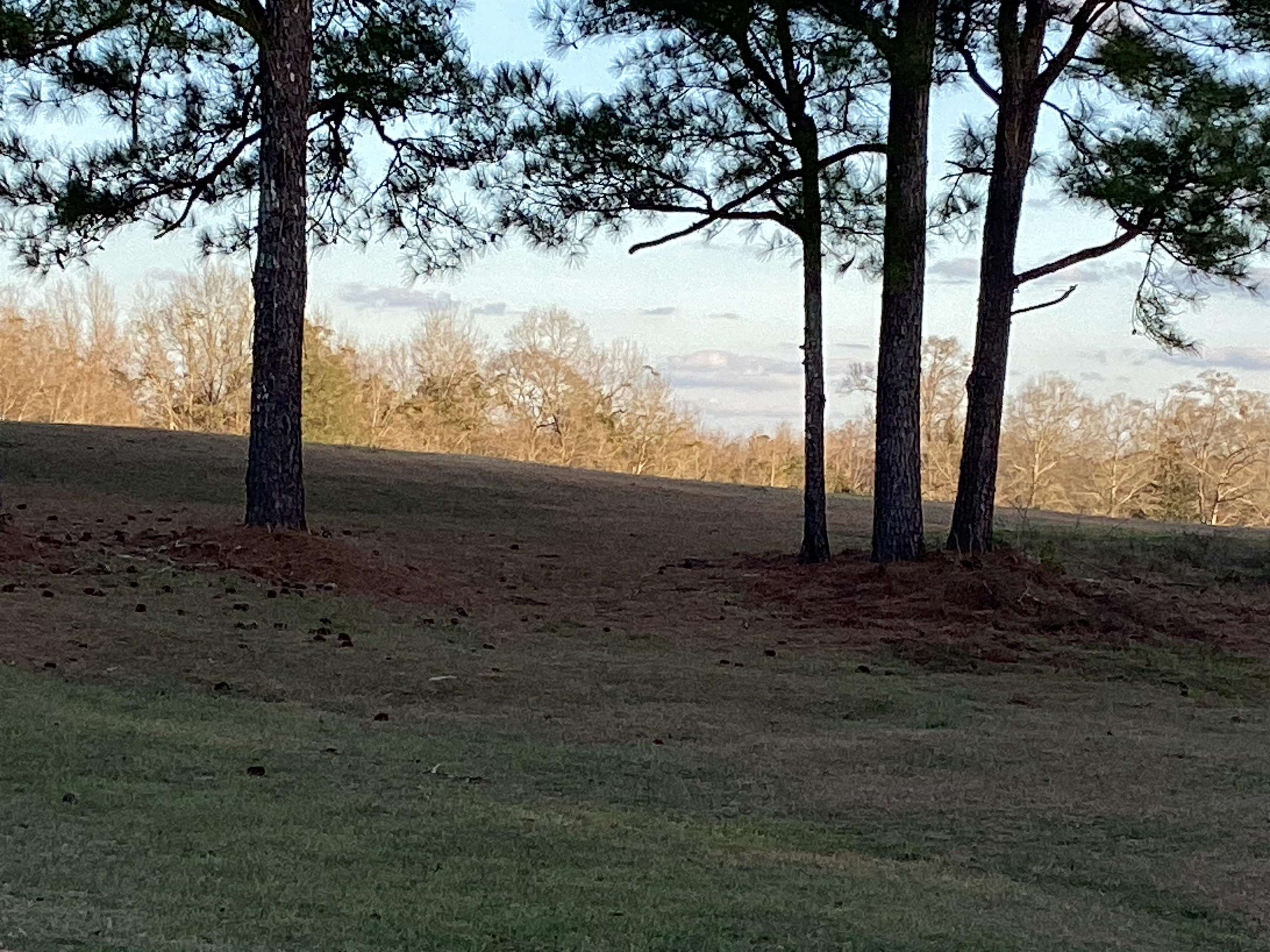 16872 Old School Road Opp, AL 36467 - Photo 27 of 43 Gallery Image 27