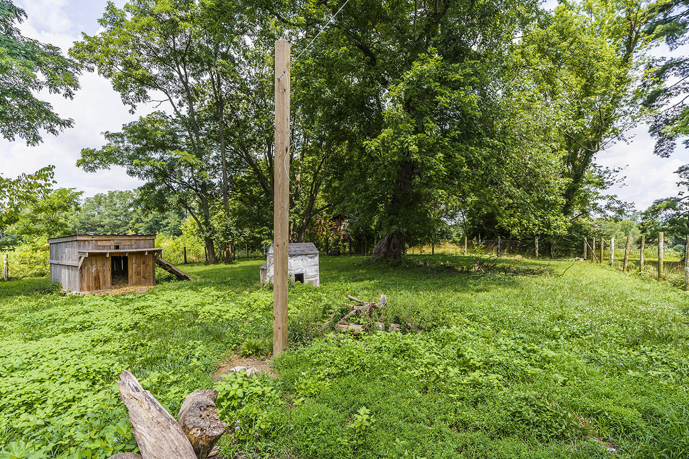 1715 Leesburg Newtown Road Paris, KY 40361 - Photo 28 of 32 1715leesburg26