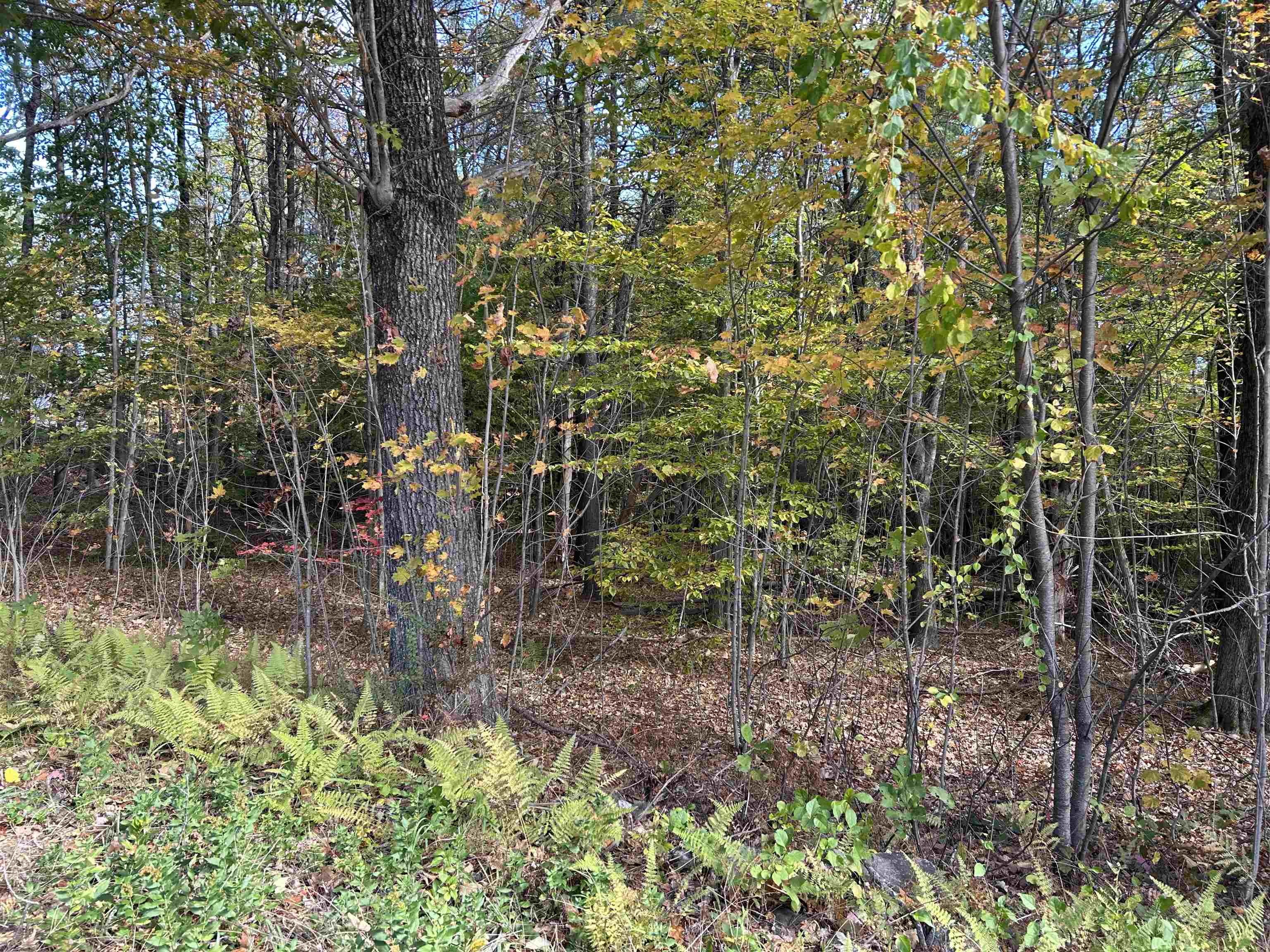 0 Province Road Gilmanton, NH 03237 - Photo 4 of 22