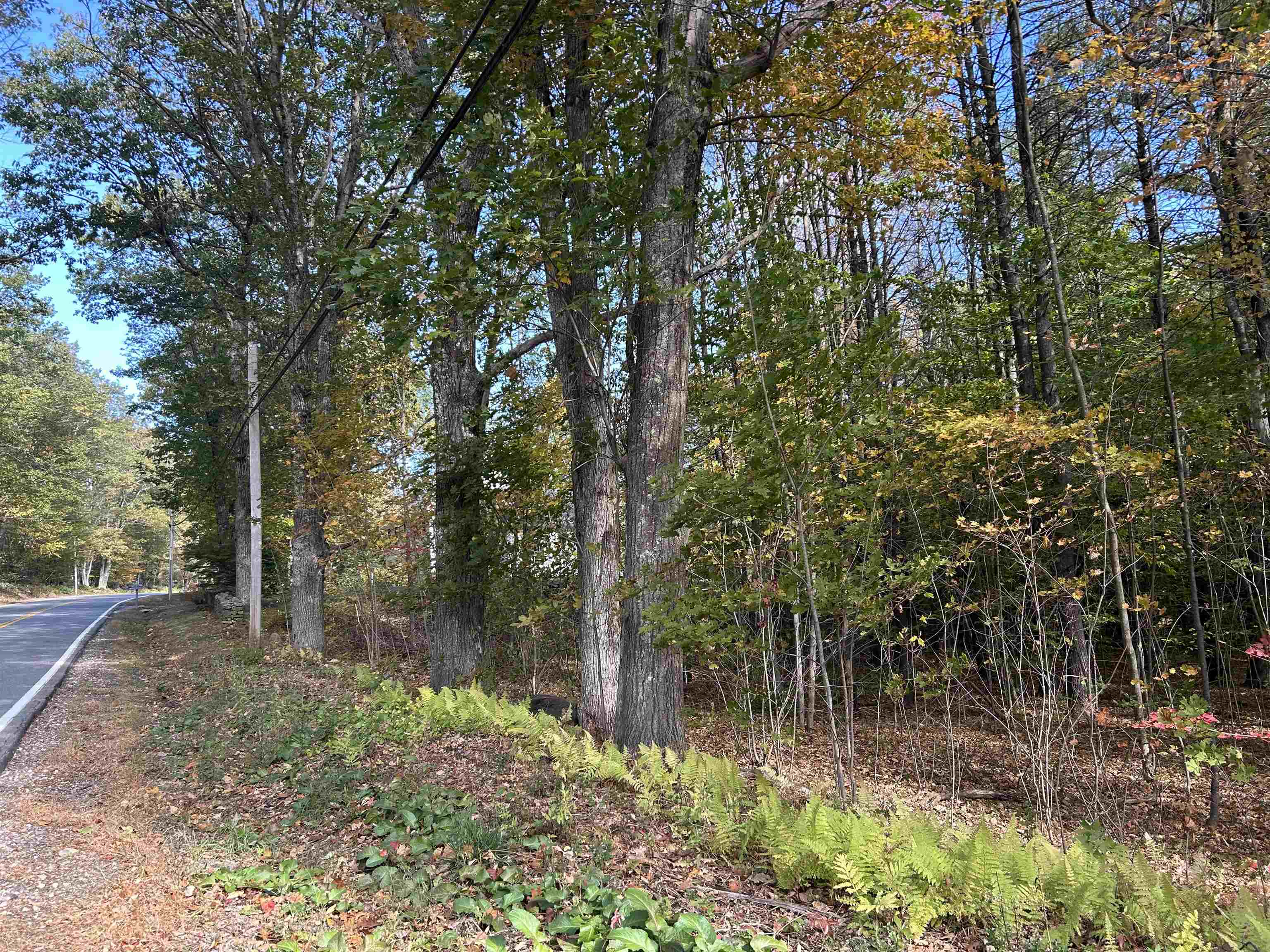 0 Province Road Gilmanton, NH 03237 - Photo 5 of 22