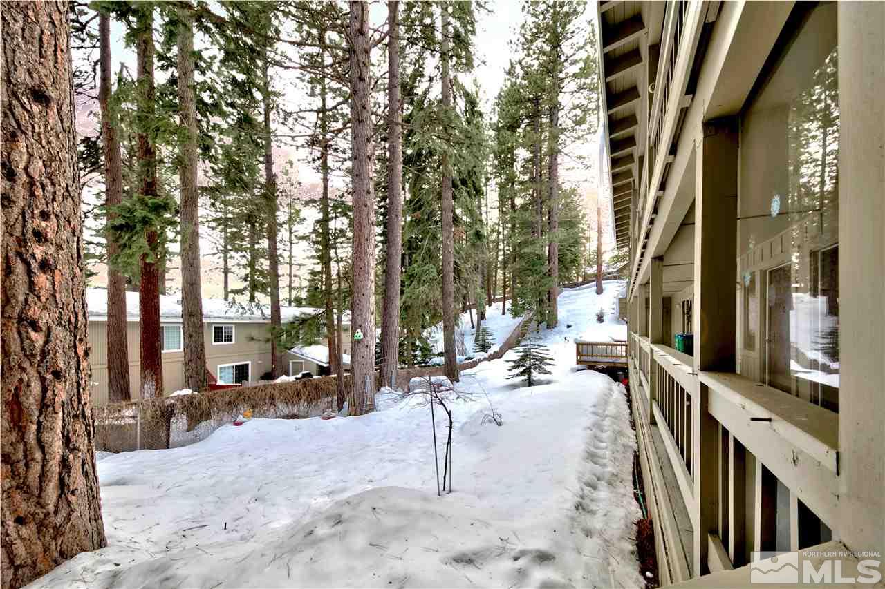 347 Cottonwood Court Incline Village, NV 89451 - Photo 8 of 25 a view of outdoor space yard and patio