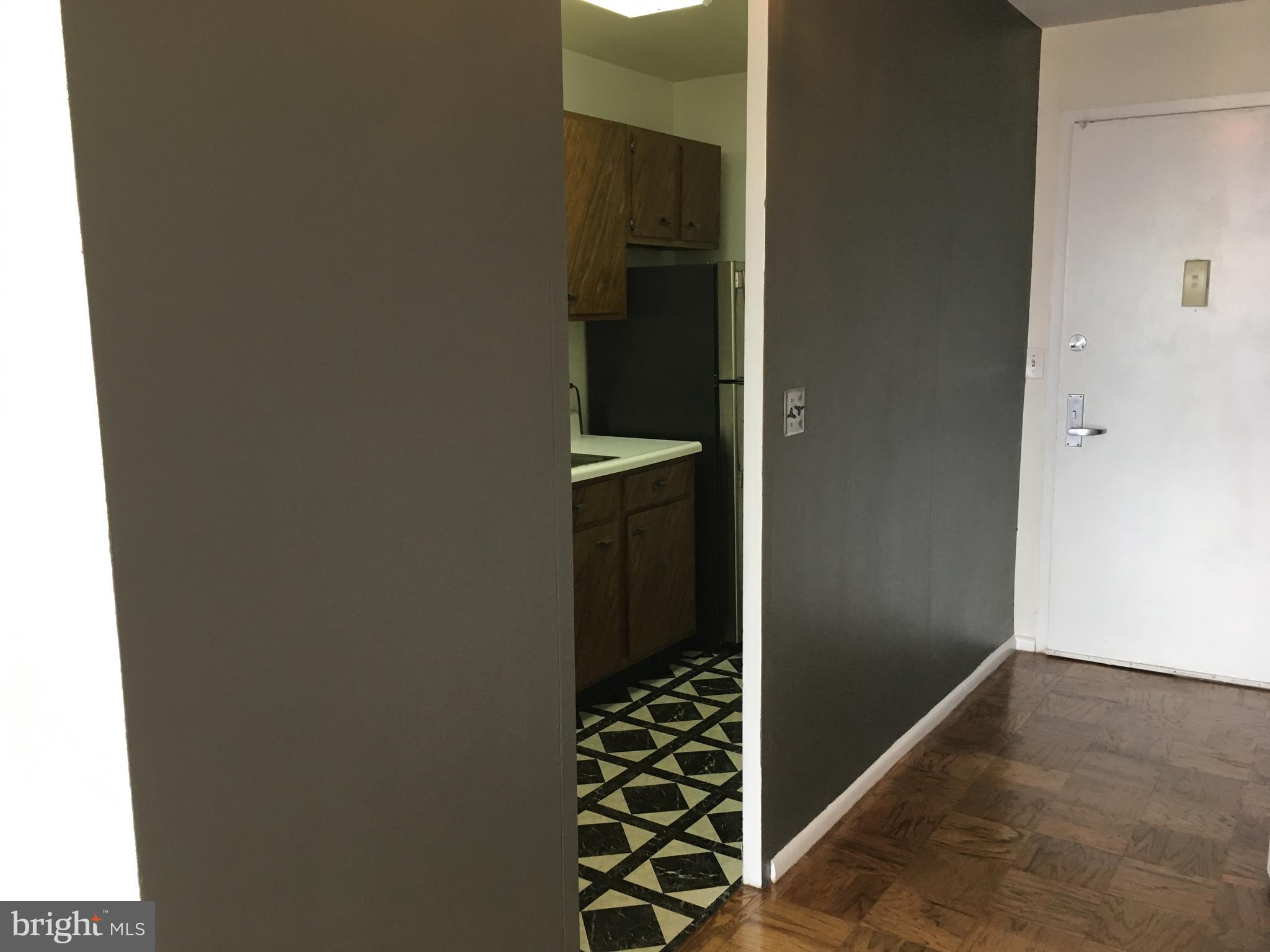 210 Locust Street, Unit 27F Philadelphia, PA 19106 - Photo 3 of 17 a view of walk in closet