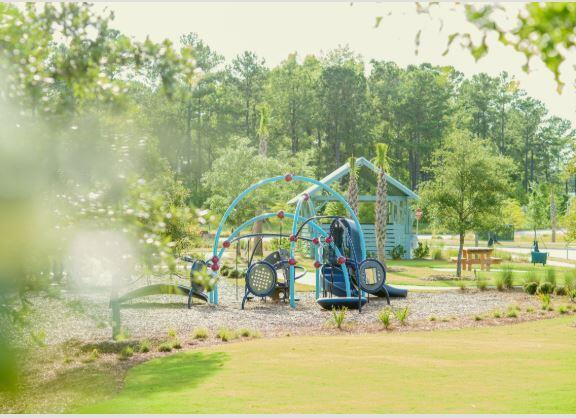 525 Spiral Ramp Court Charleston, SC 29492 - Photo 17 of 18 Playground