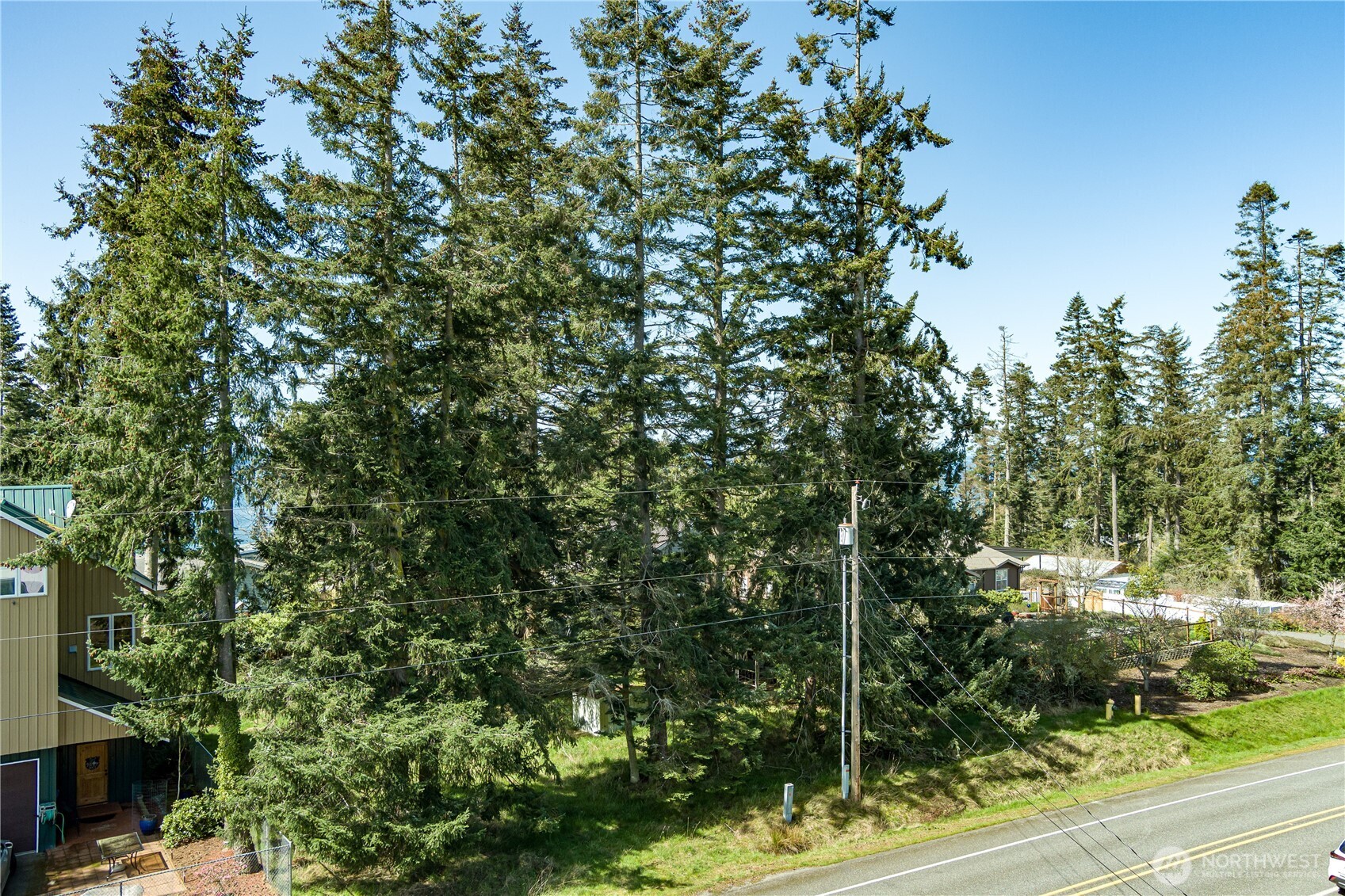 3544 South Smugglers Cove Road Greenbank, WA 98253 - Photo 3 of 23 a view of a forest with a tree