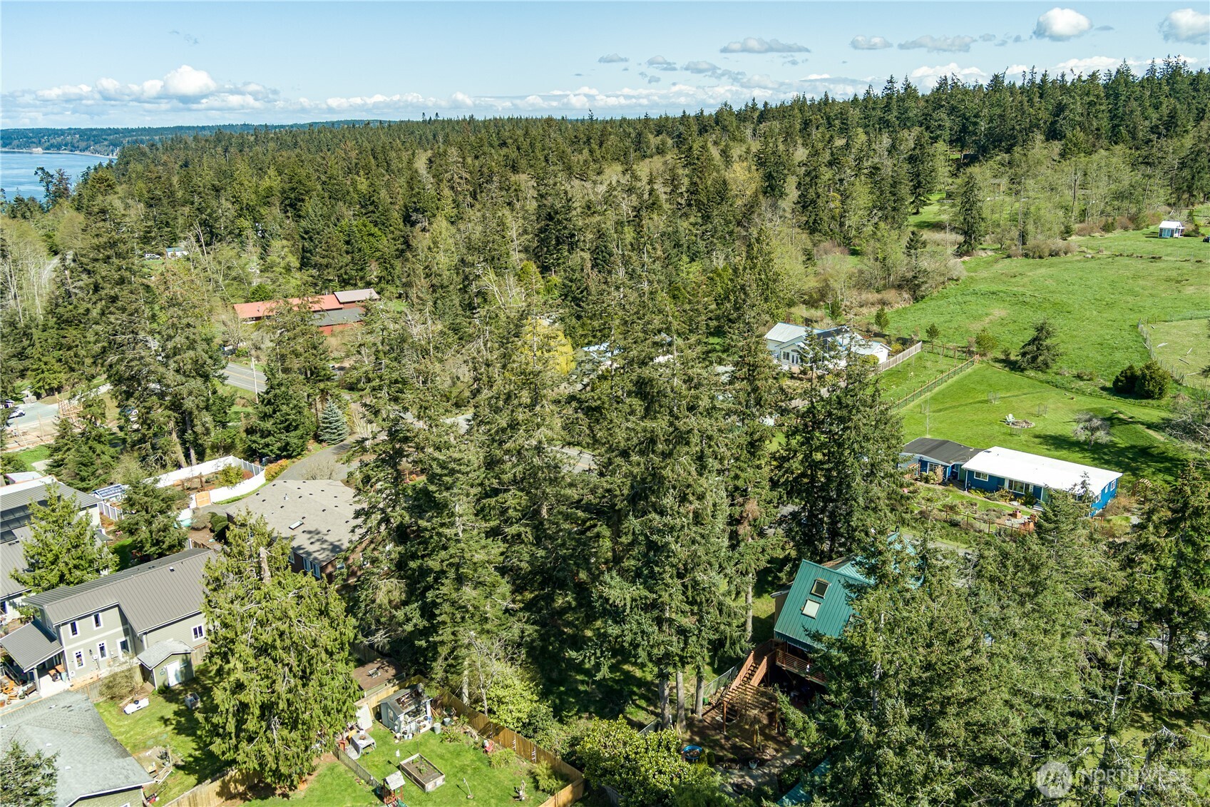 3544 South Smugglers Cove Road Greenbank, WA 98253 - Photo 8 of 23 a view of a garden