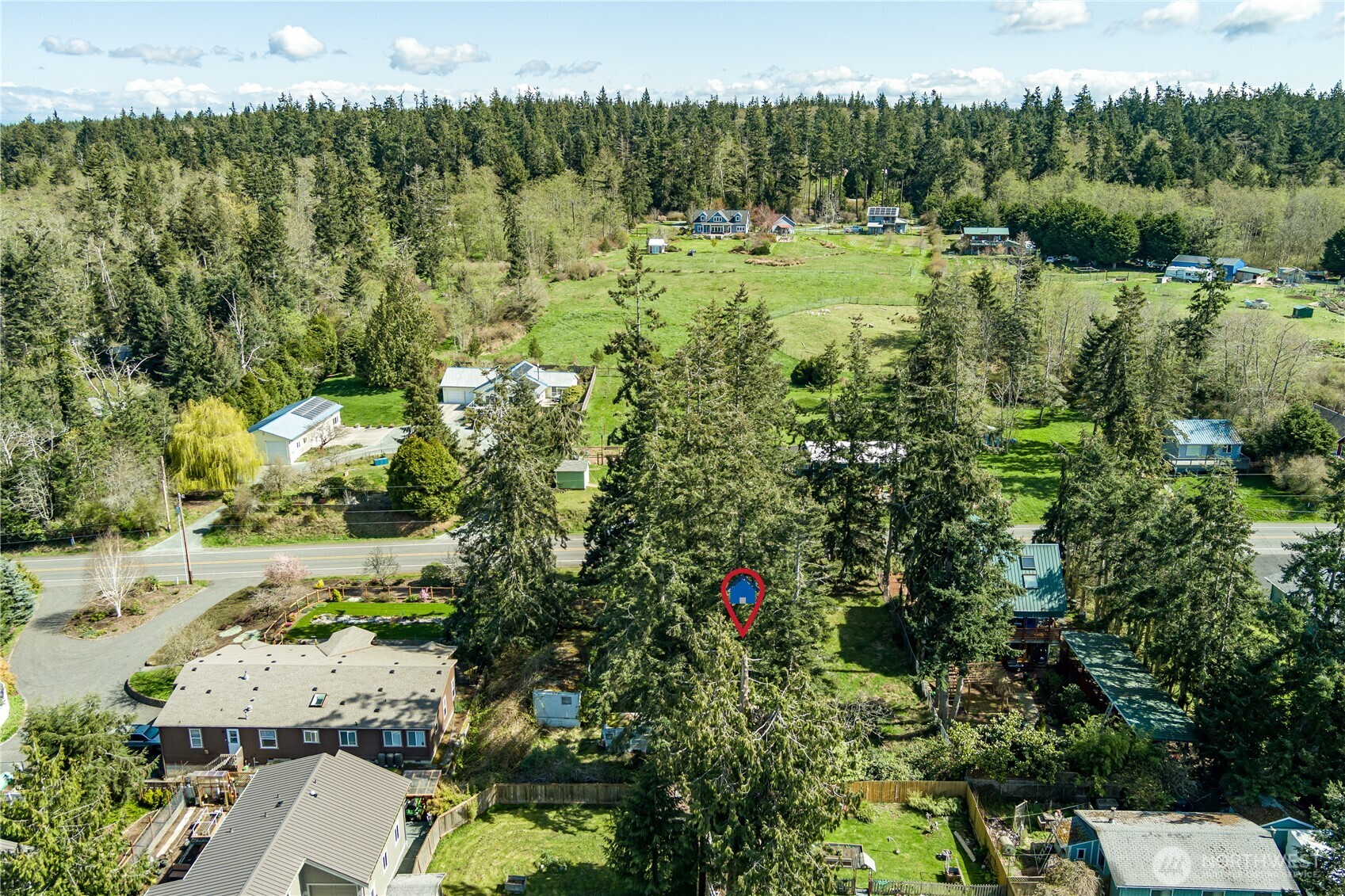 3544 South Smugglers Cove Road Greenbank, WA 98253 - Photo 9 of 23 a view of a lush green forest with a house