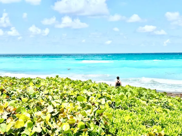 $14,500 | 420 Celestial Way, Unit 301, Juno Beach, FL 33408