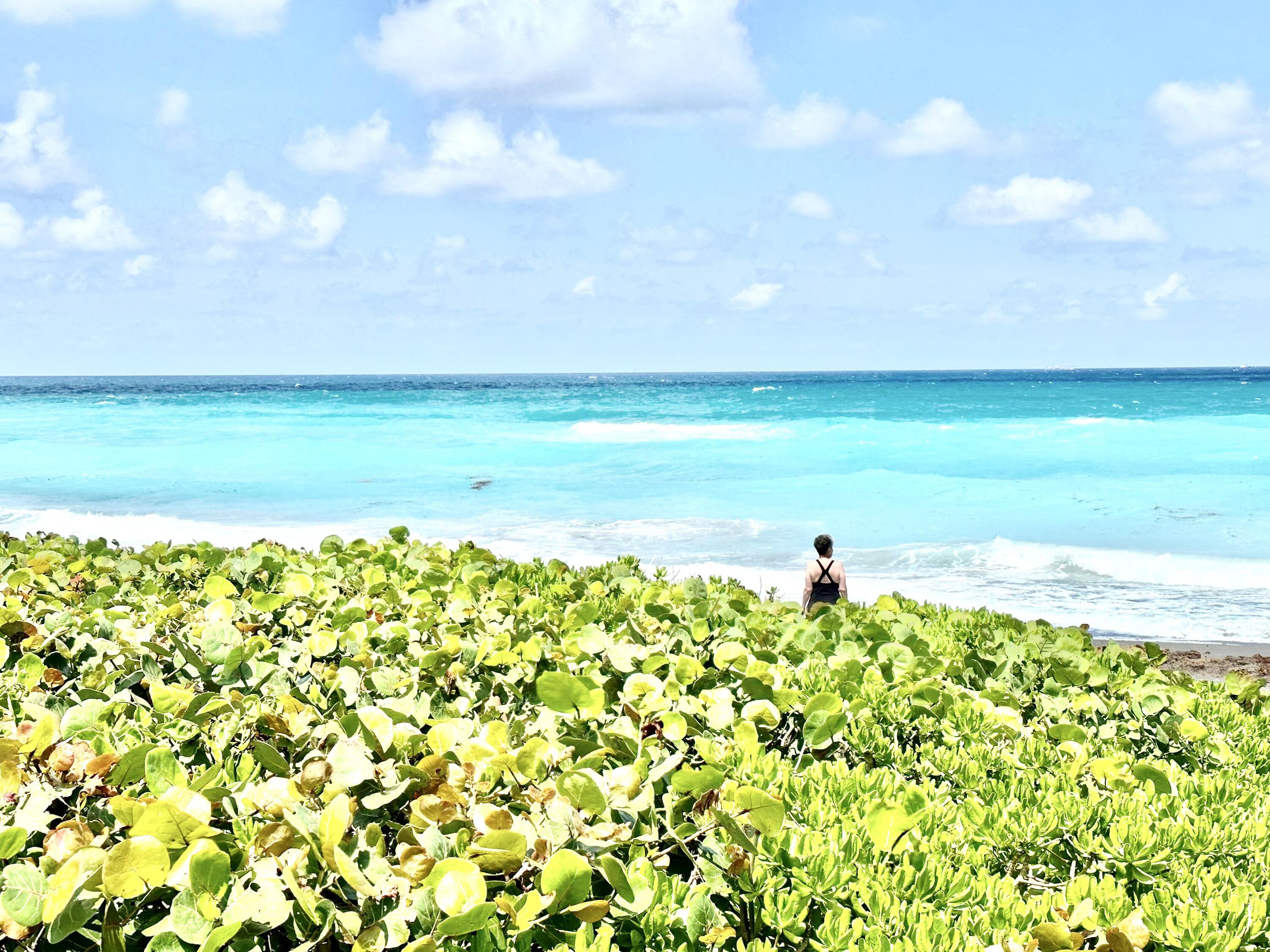 420 Celestial Way, Unit 301 Juno Beach, FL 33408 - Photo 20 of 70 IMG_6782