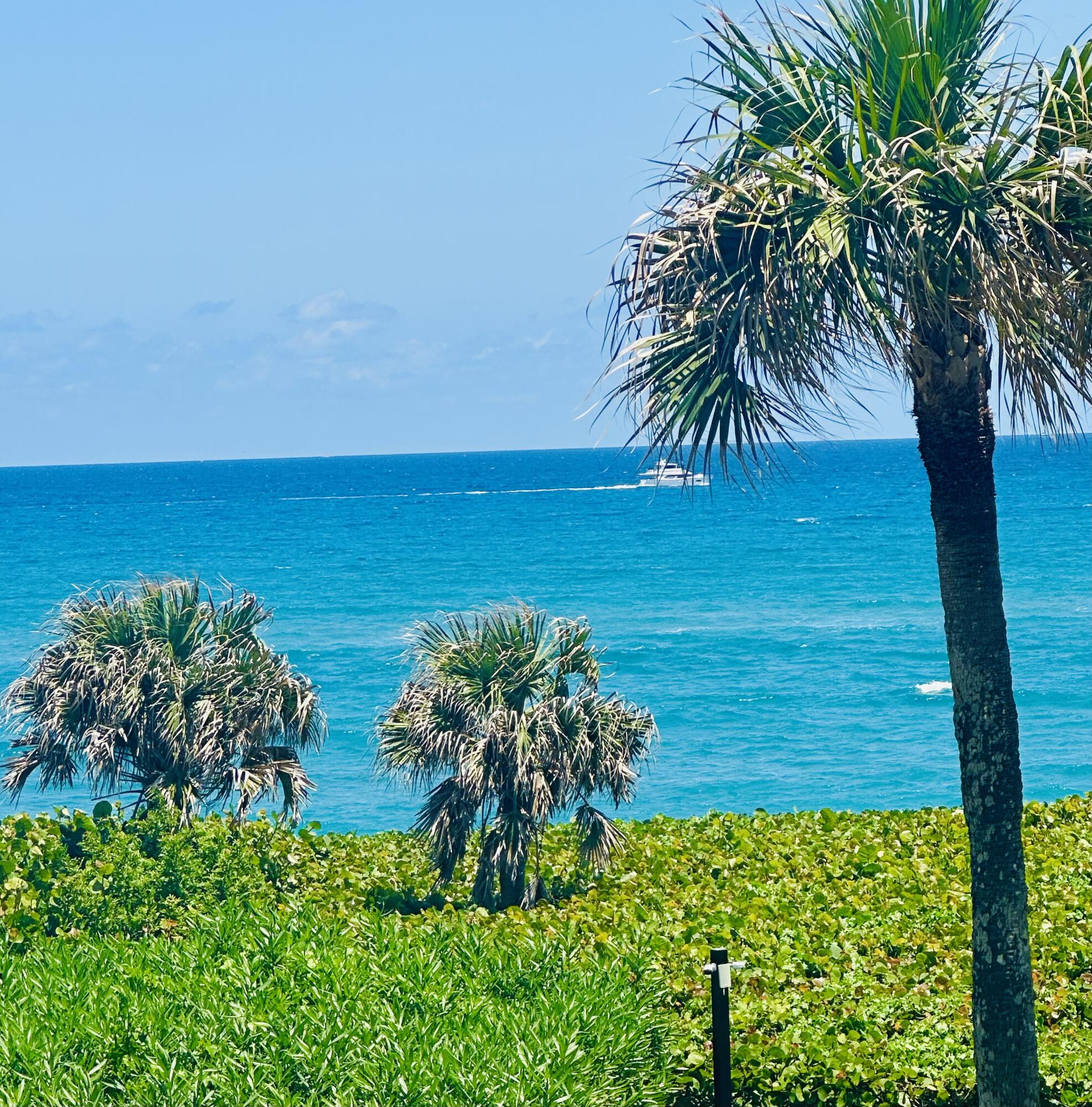 420 Celestial Way, Unit 301 Juno Beach, FL 33408 - Photo 68 of 70 IMG_1792