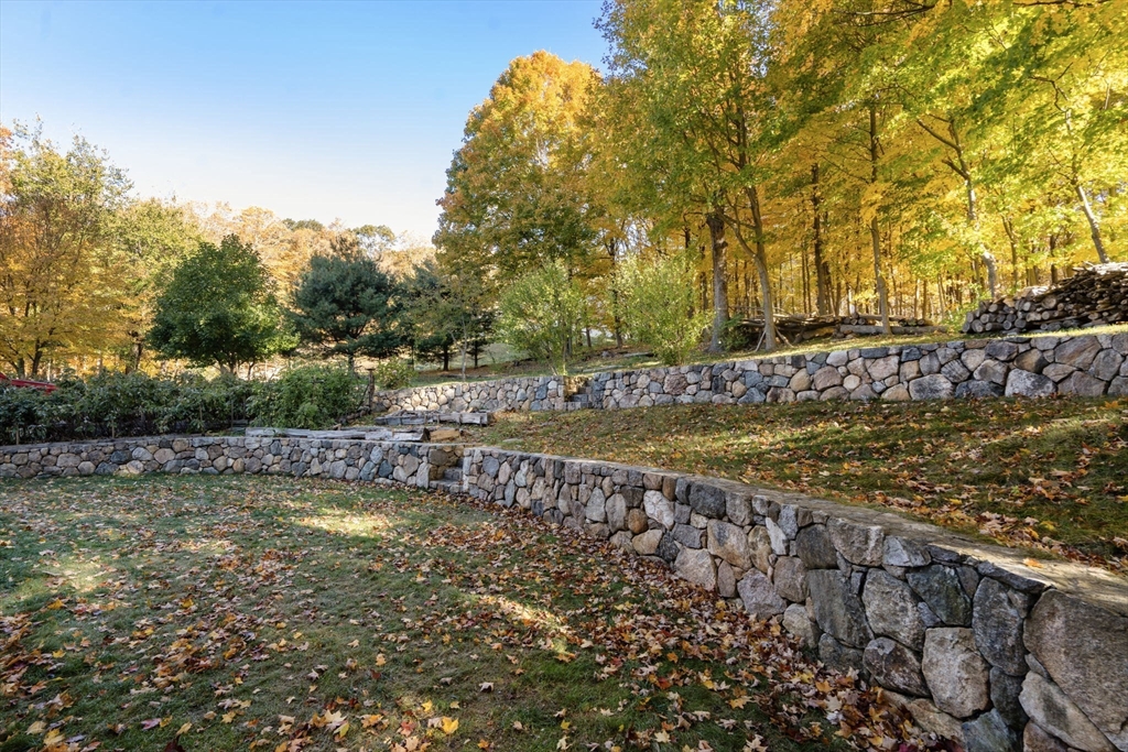 463 Edmands Road Framingham, MA 01701 - Photo 13 of 42 a view of a yard with large trees
