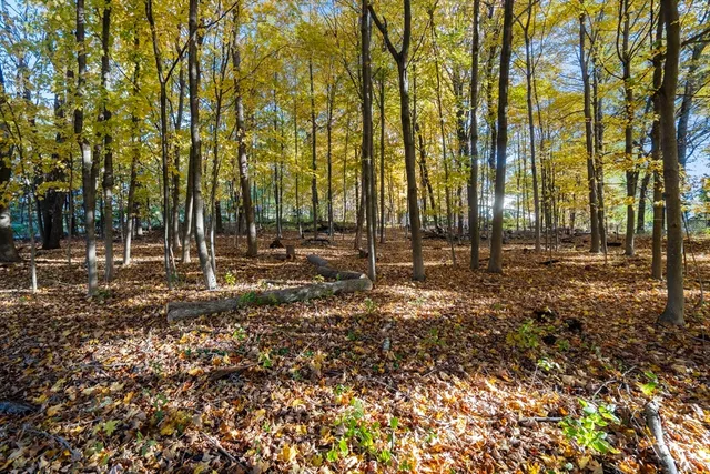 a backyard of a house with trees