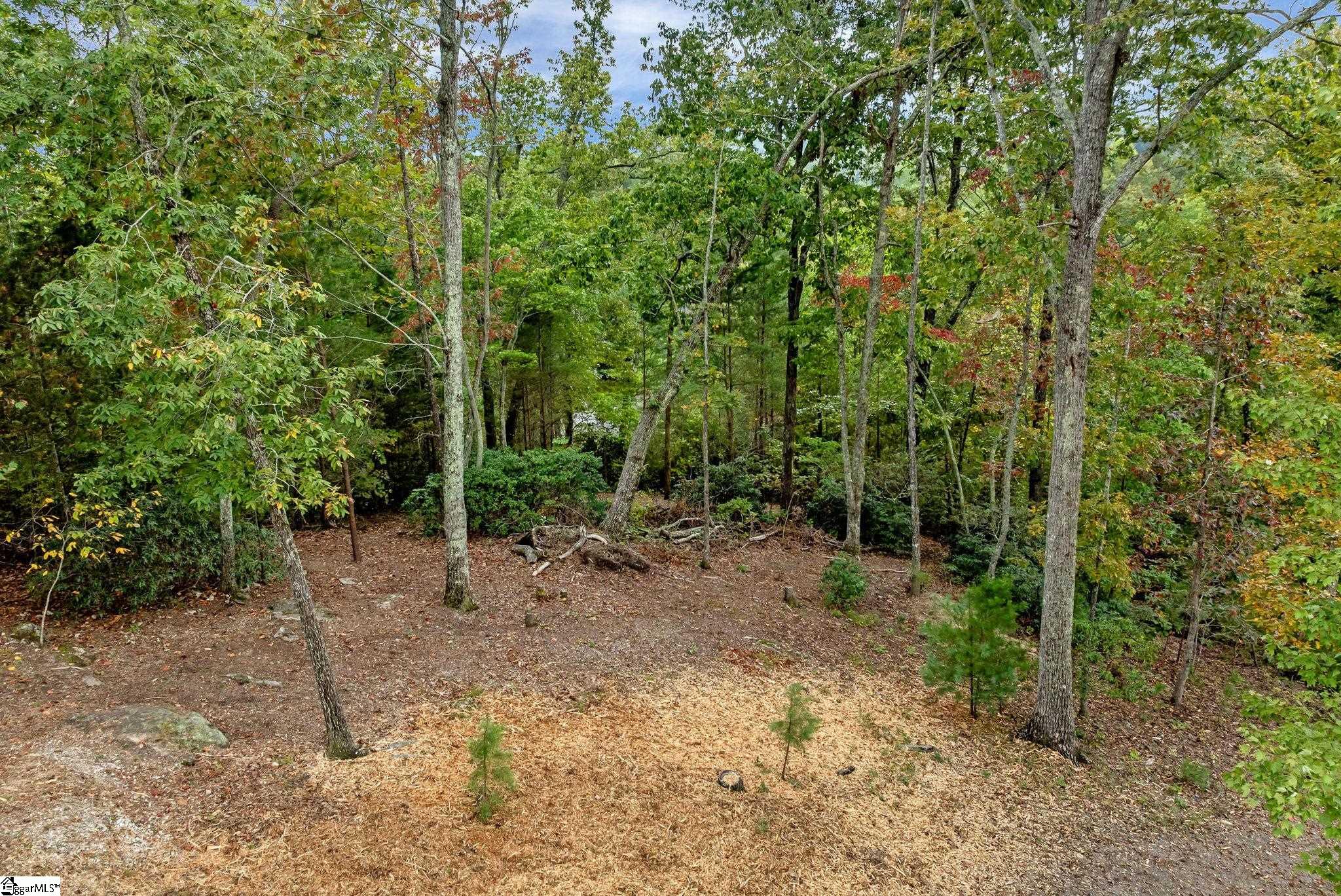 435 Augusta Links Trail Travelers Rest, SC 29690 - Photo 2 of 11